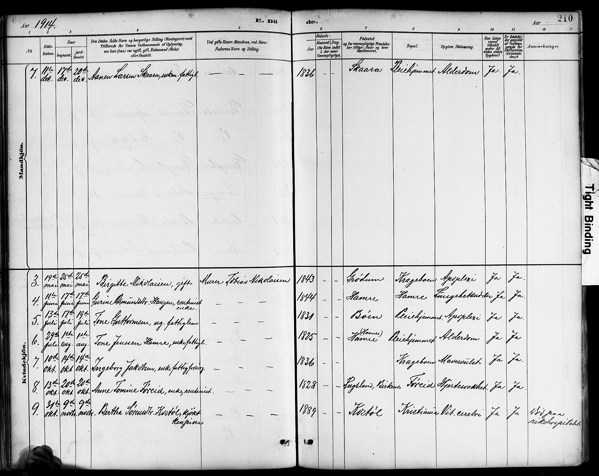 Tveit sokneprestkontor, AV/SAK-1111-0043/F/Fb/L0004: Parish register (copy) no. B 4, 1887-1914, p. 210