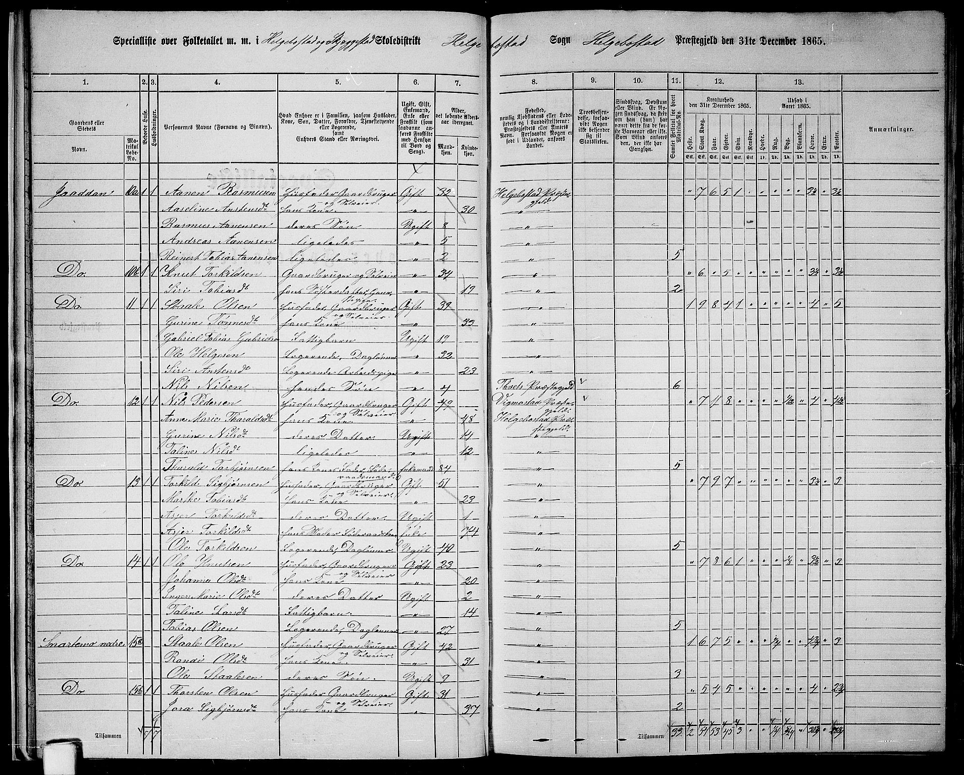 RA, 1865 census for Hægebostad, 1865, p. 21