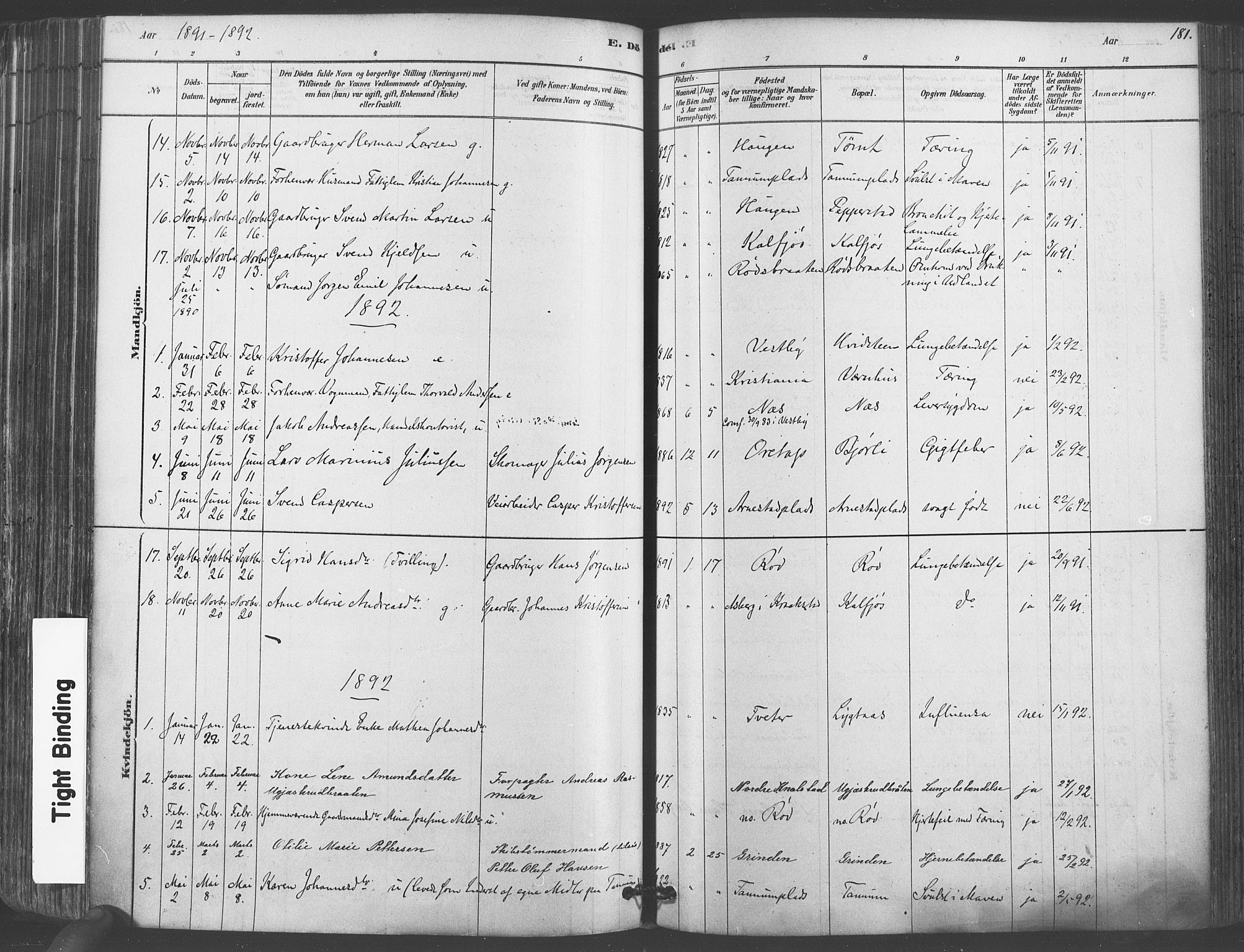 Vestby prestekontor Kirkebøker, AV/SAO-A-10893/F/Fa/L0009: Parish register (official) no. I 9, 1878-1900, p. 181