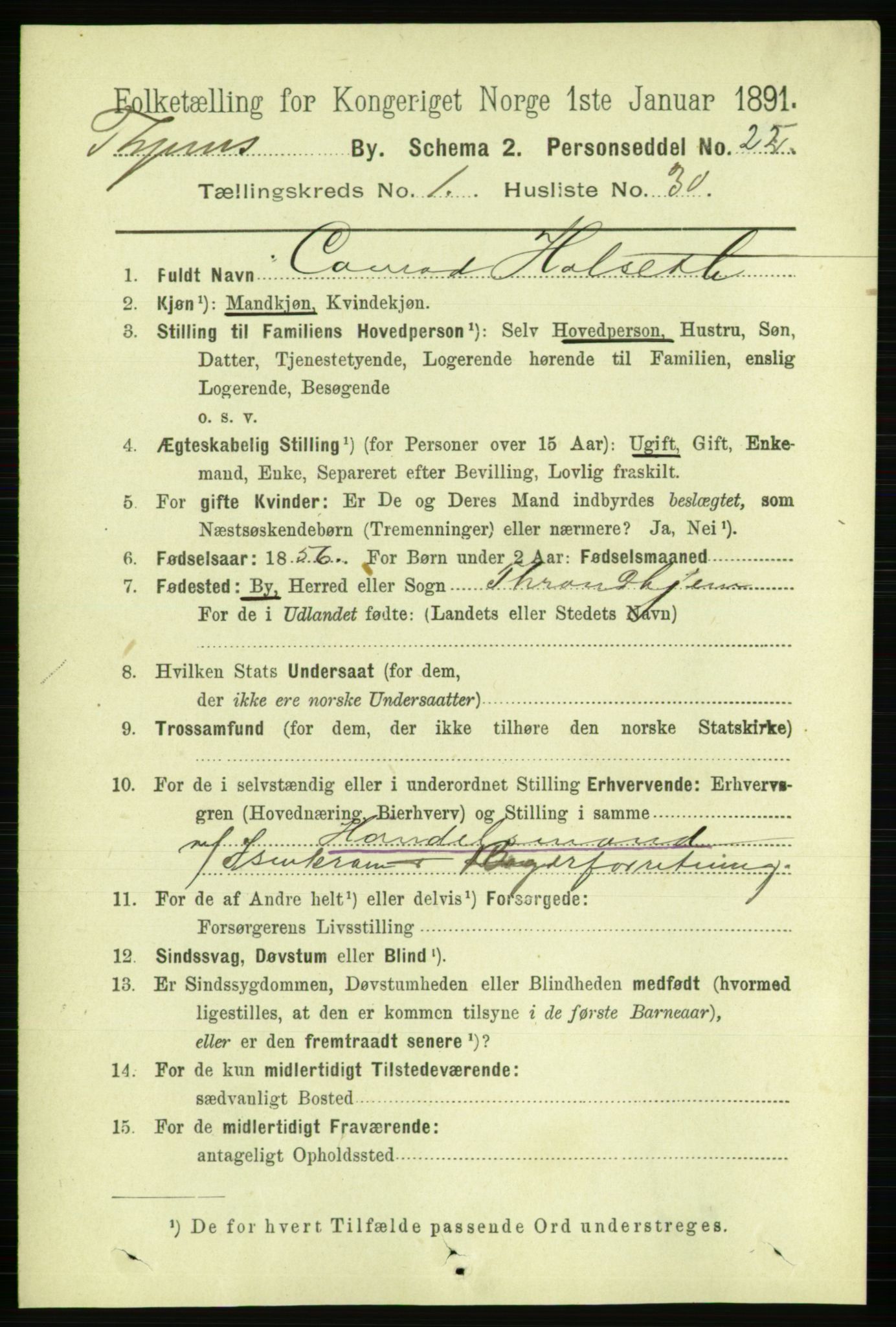 RA, 1891 census for 1601 Trondheim, 1891, p. 2980