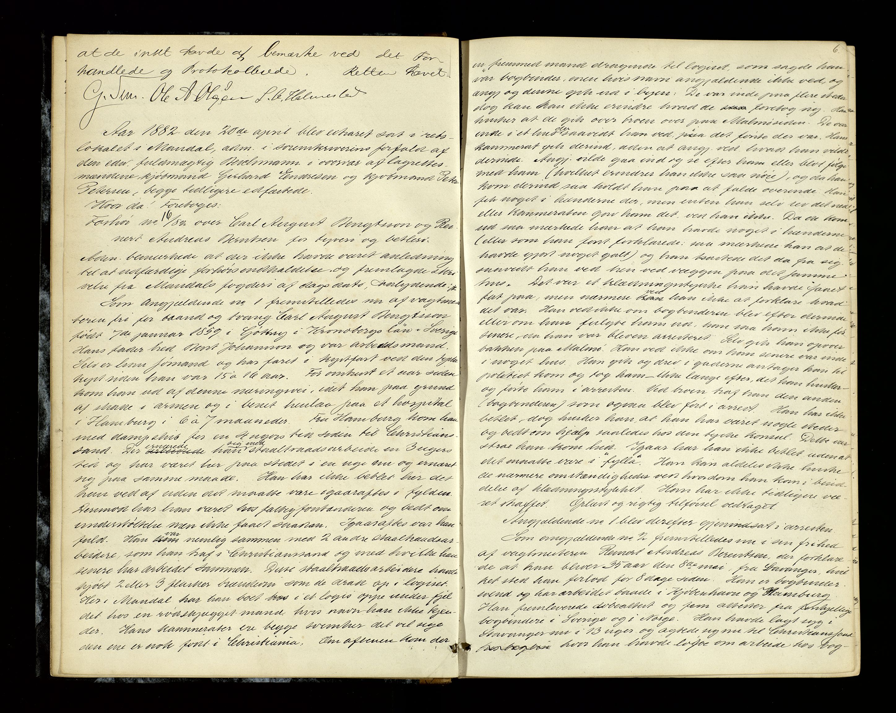 Mandal sorenskriveri, AV/SAK-1221-0005/001/F/Fb/L0027: Ekstrarettsprotokoll nr 25, 1882-1886, p. 6