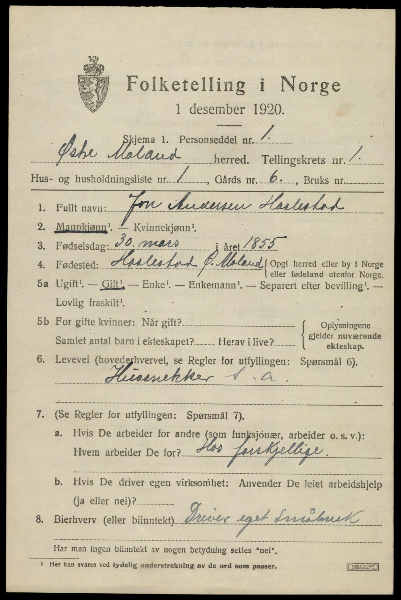 SAK, 1920 census for Austre Moland, 1920, p. 547