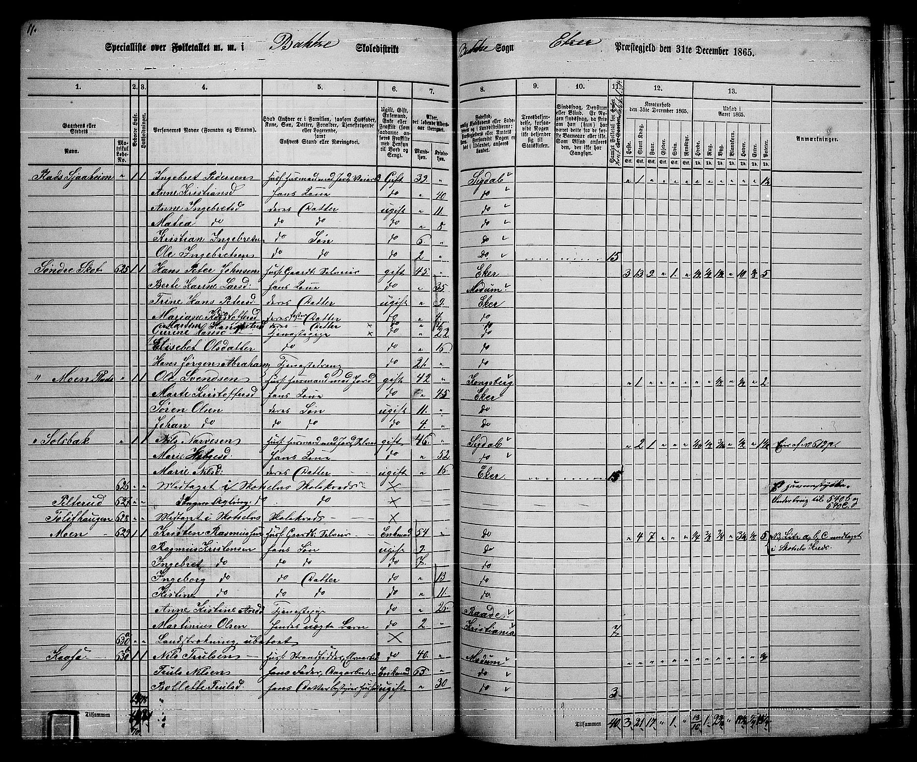 RA, 1865 census for Eiker, 1865, p. 446