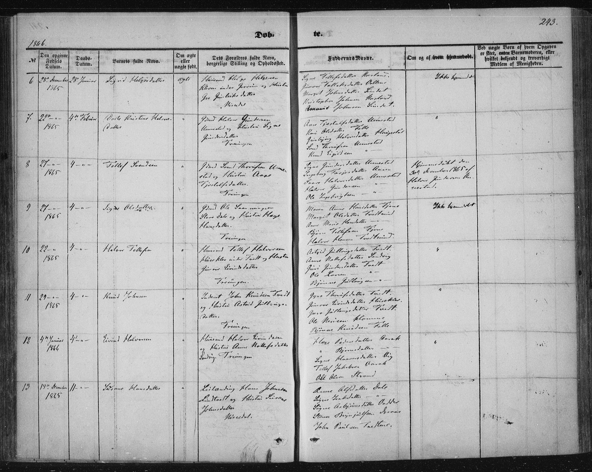 Nissedal kirkebøker, AV/SAKO-A-288/F/Fa/L0003: Parish register (official) no. I 3, 1846-1870, p. 242-243