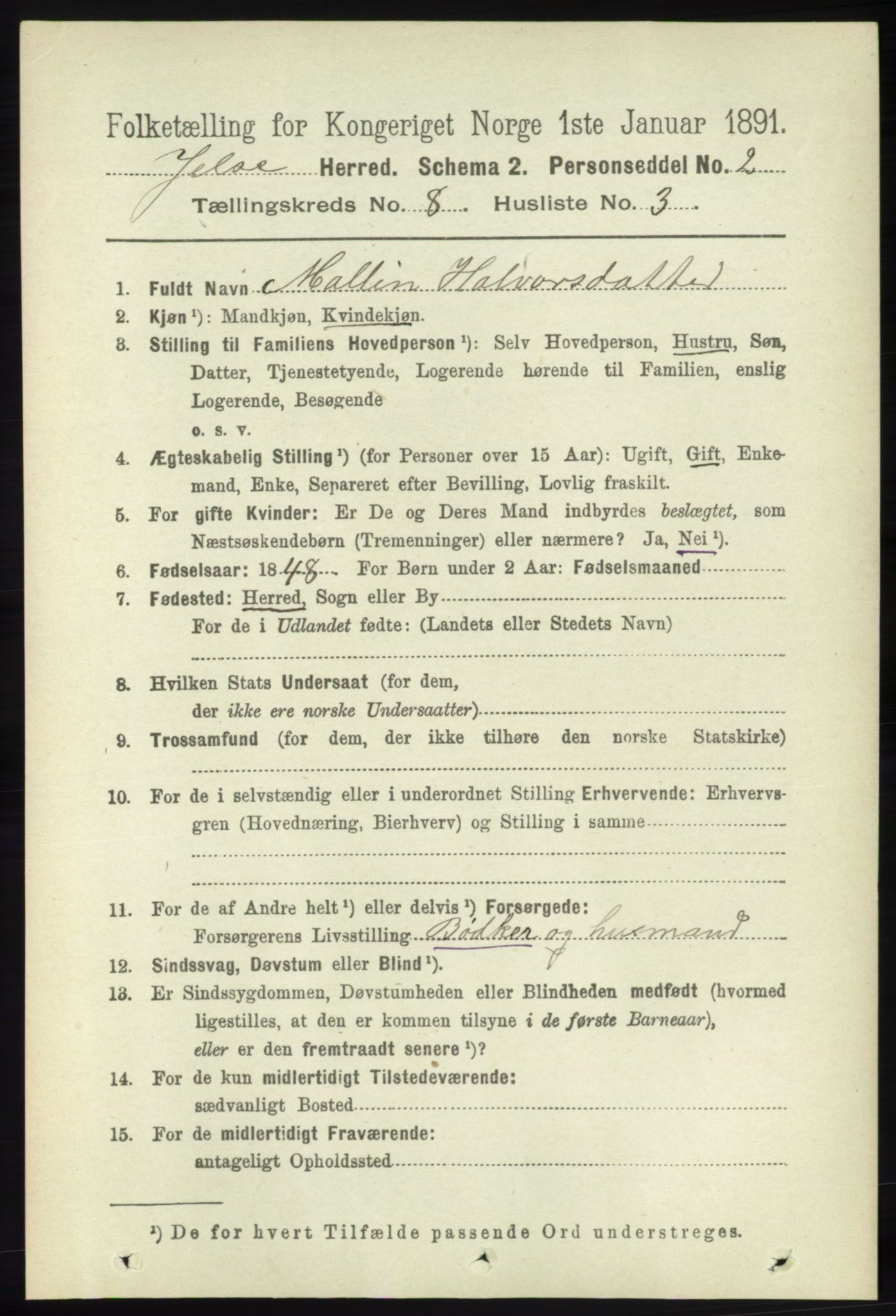 RA, 1891 census for 1138 Jelsa, 1891, p. 1815