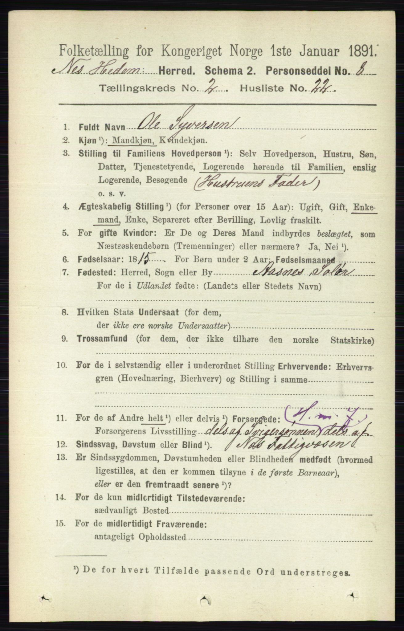 RA, 1891 census for 0411 Nes, 1891, p. 1242