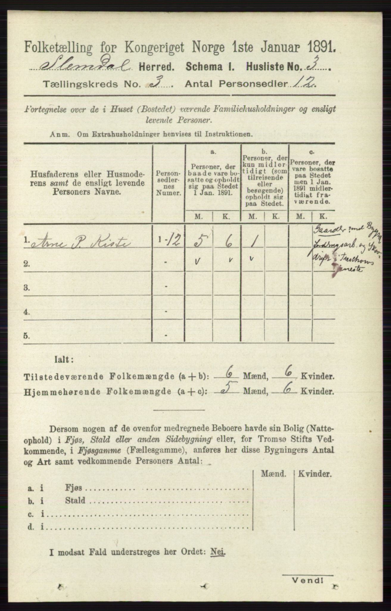 RA, 1891 census for 0811 Slemdal, 1891, p. 707