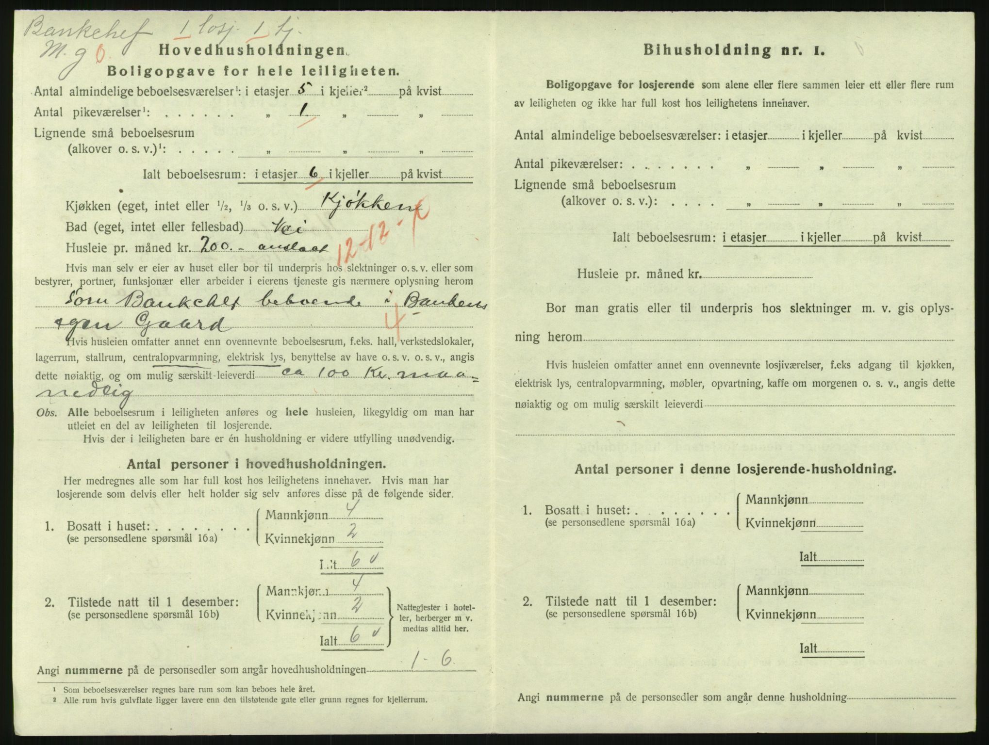 SAKO, 1920 census for Hønefoss, 1920, p. 1487