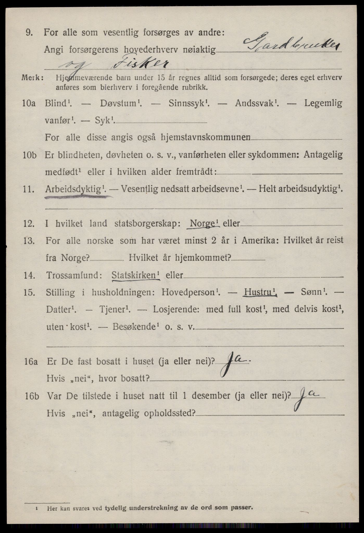 SAT, 1920 census for Hustad, 1920, p. 736