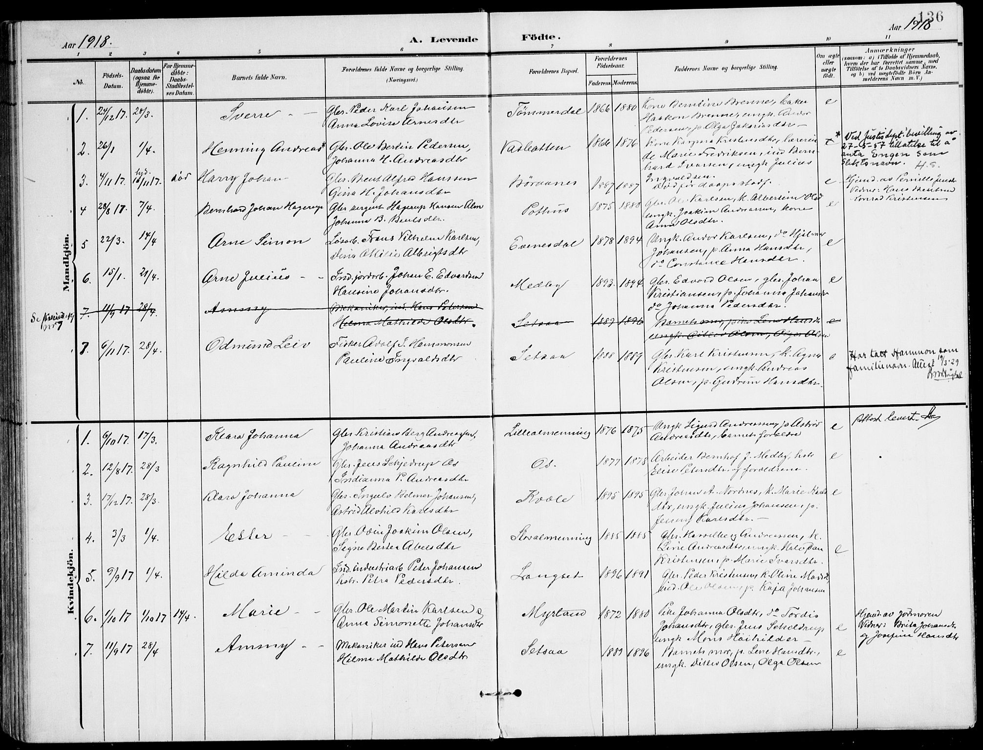 Ministerialprotokoller, klokkerbøker og fødselsregistre - Nordland, AV/SAT-A-1459/847/L0672: Parish register (official) no. 847A12, 1902-1919, p. 136