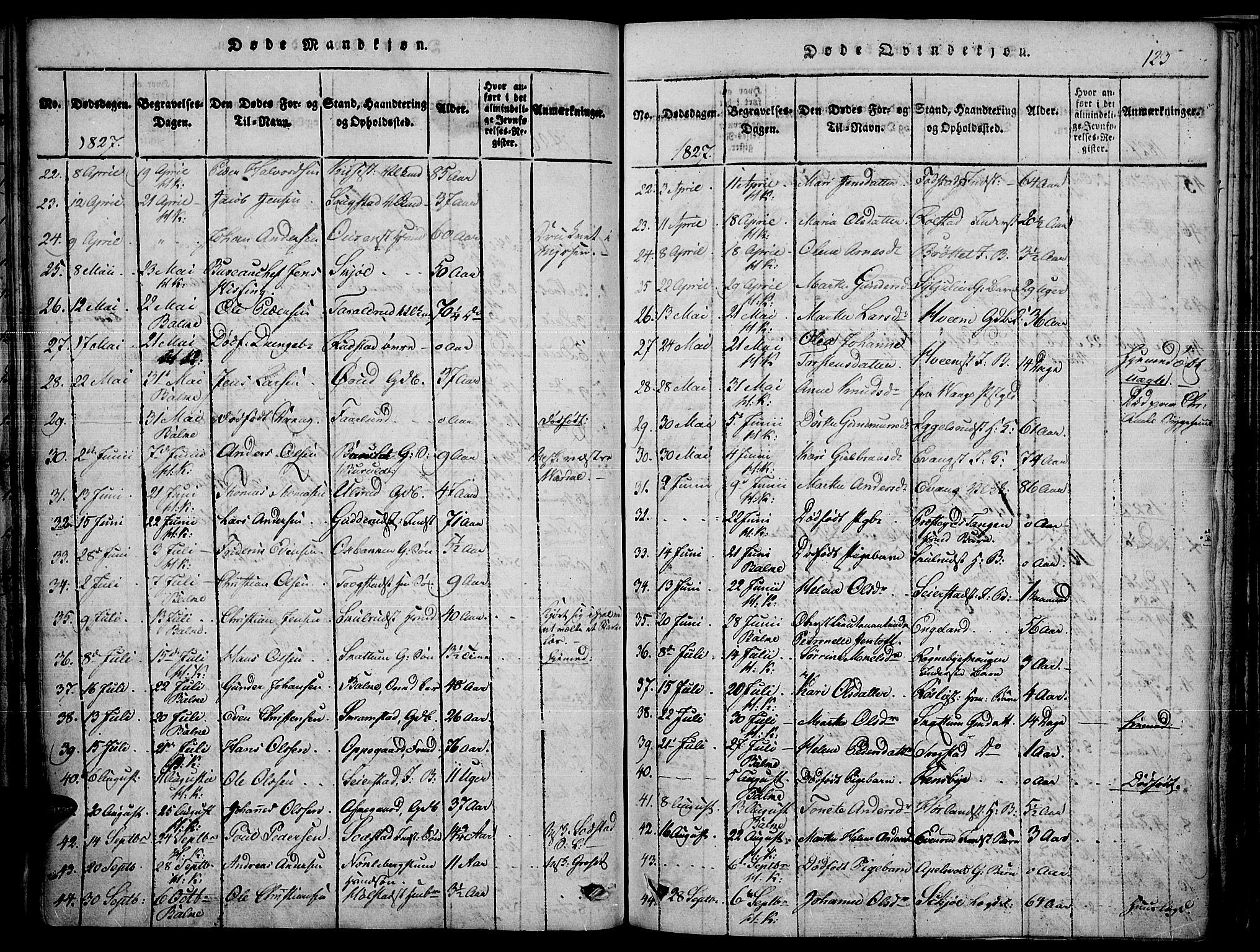 Toten prestekontor, SAH/PREST-102/H/Ha/Haa/L0010: Parish register (official) no. 10, 1820-1828, p. 123