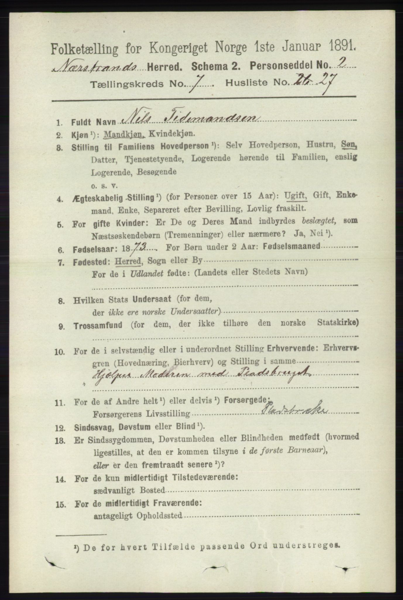 RA, 1891 census for 1139 Nedstrand, 1891, p. 1313