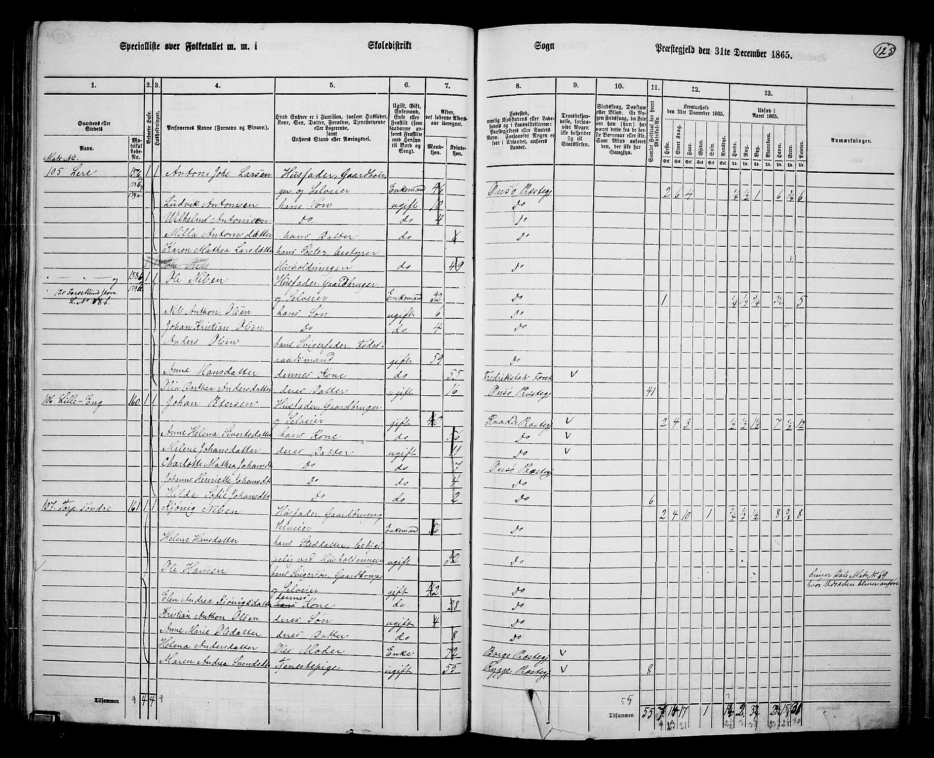 RA, 1865 census for Onsøy, 1865, p. 115