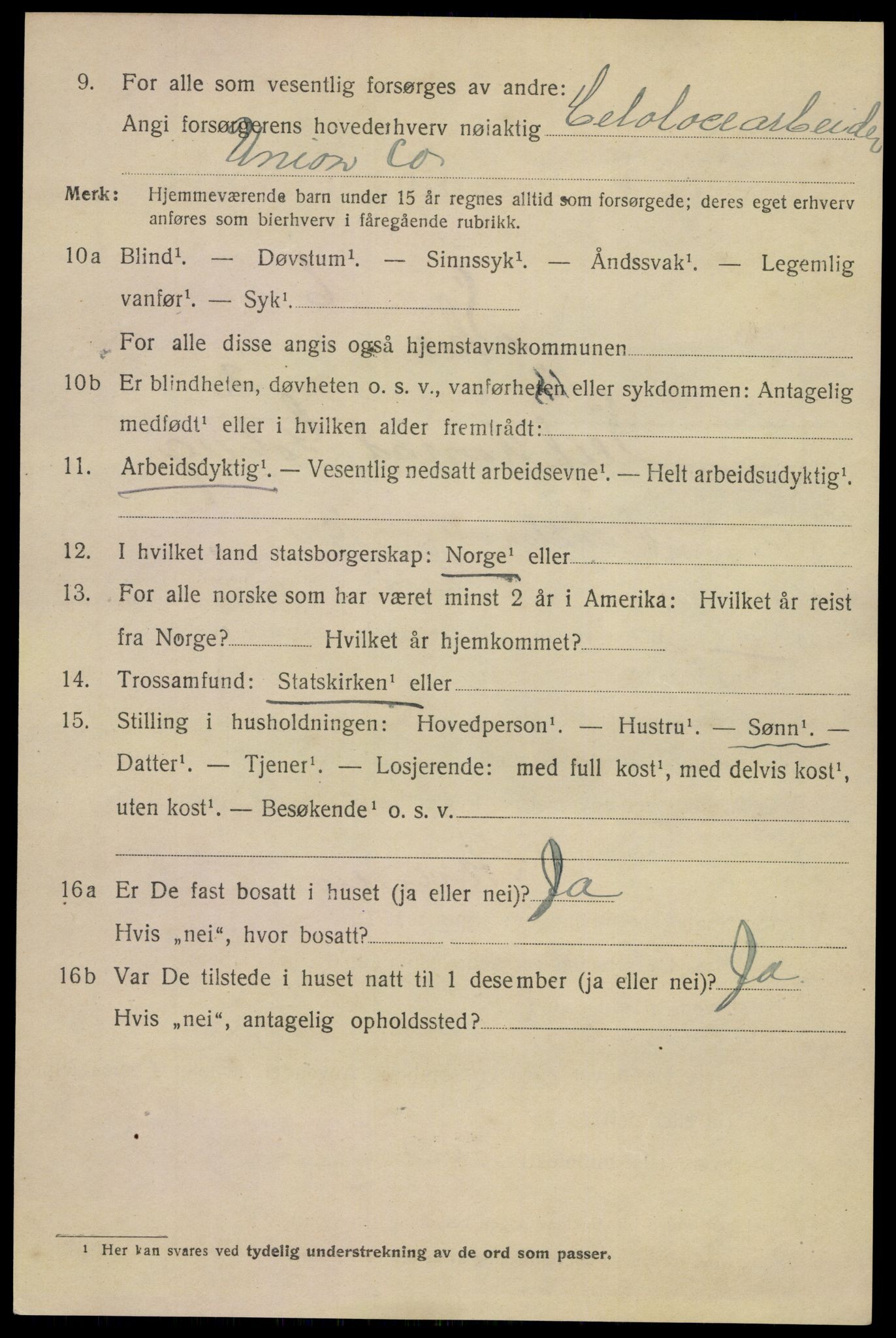 SAKO, 1920 census for Skien, 1920, p. 16937