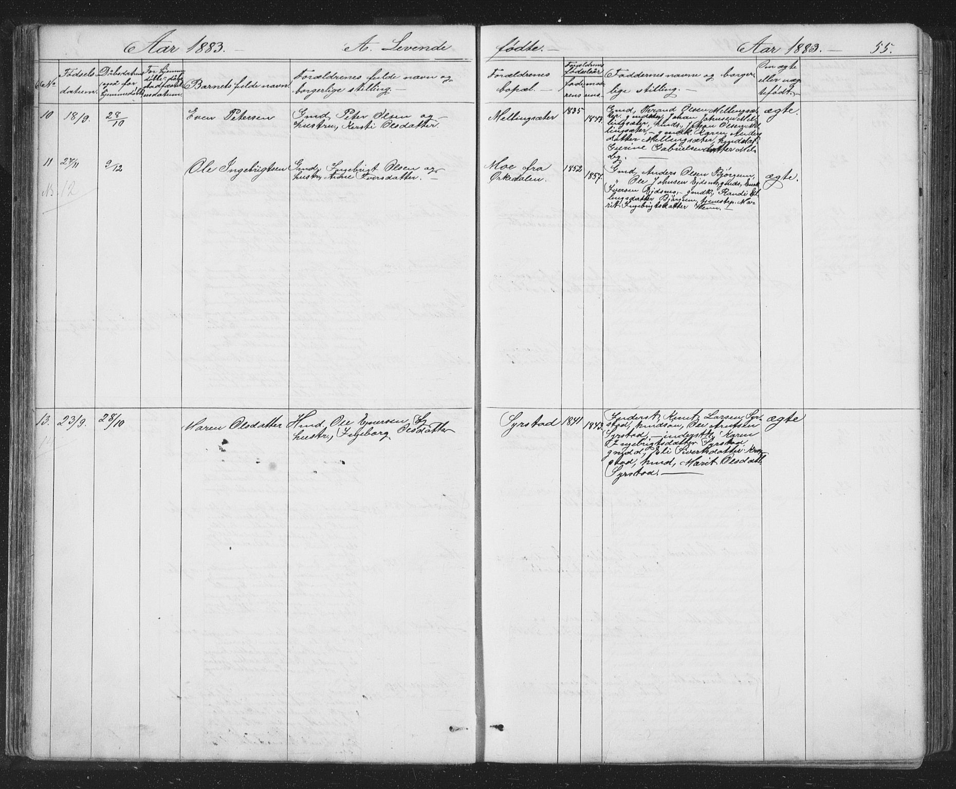 Ministerialprotokoller, klokkerbøker og fødselsregistre - Sør-Trøndelag, SAT/A-1456/667/L0798: Parish register (copy) no. 667C03, 1867-1929, p. 55