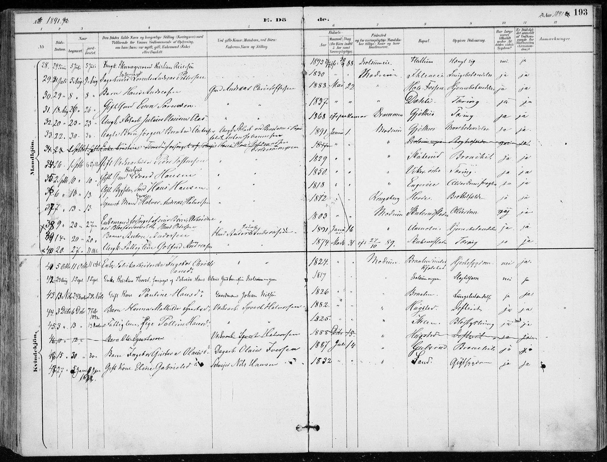 Modum kirkebøker, AV/SAKO-A-234/F/Fa/L0012: Parish register (official) no. 12, 1890-1898, p. 193