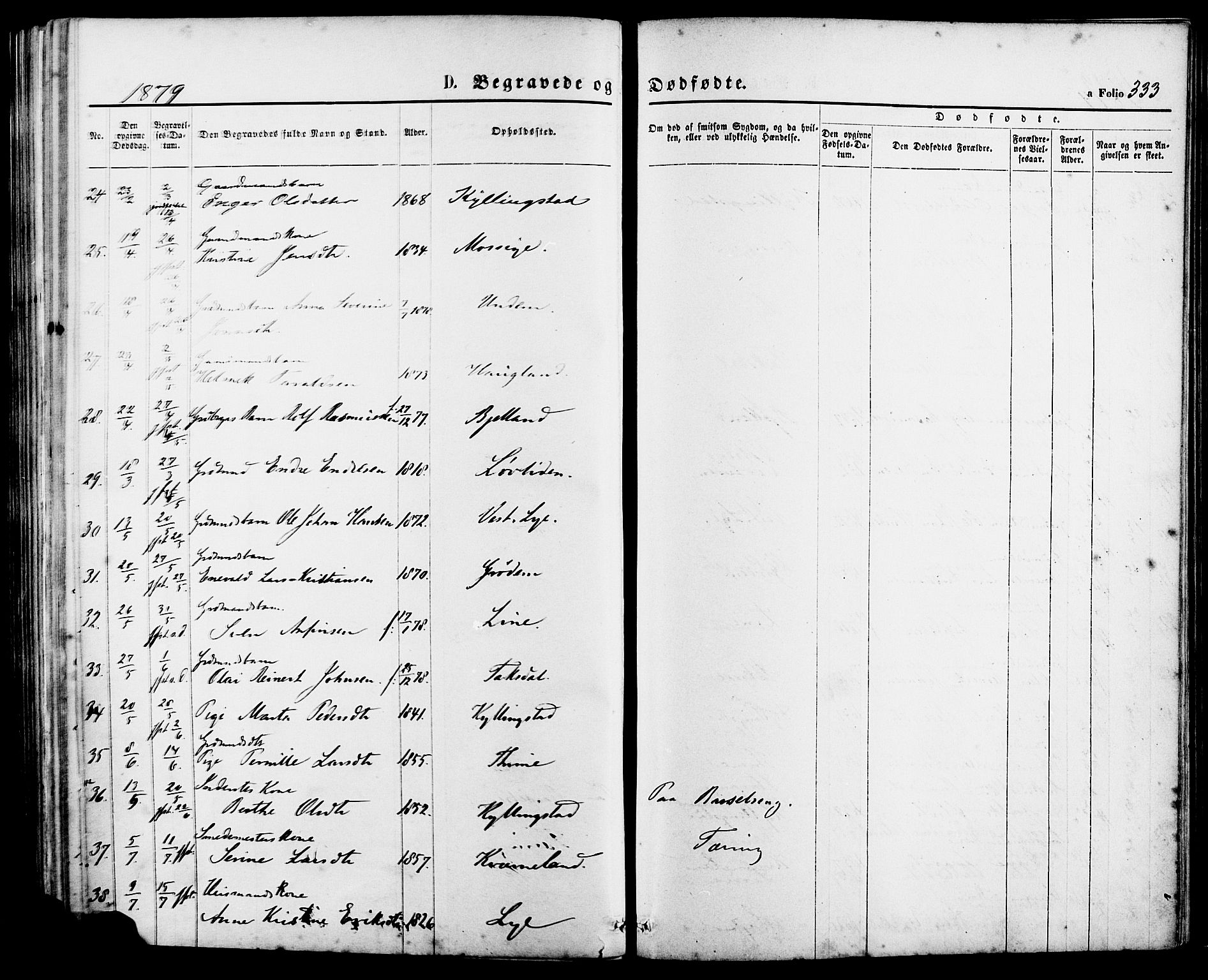 Lye sokneprestkontor, AV/SAST-A-101794/001/30BA/L0008: Parish register (official) no. A 7, 1872-1881, p. 333