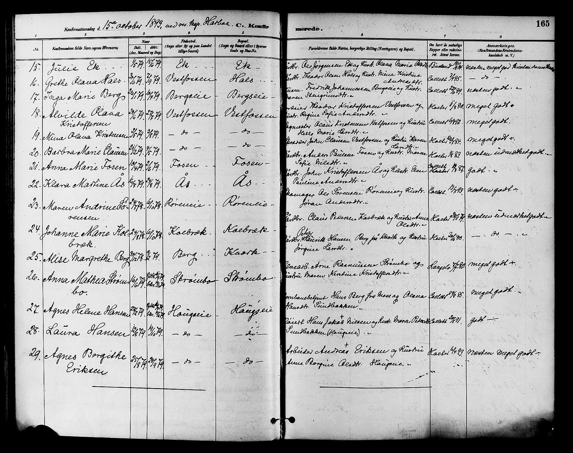 Eiker kirkebøker, SAKO/A-4/F/Fb/L0002: Parish register (official) no. II 2, 1889-1896, p. 165