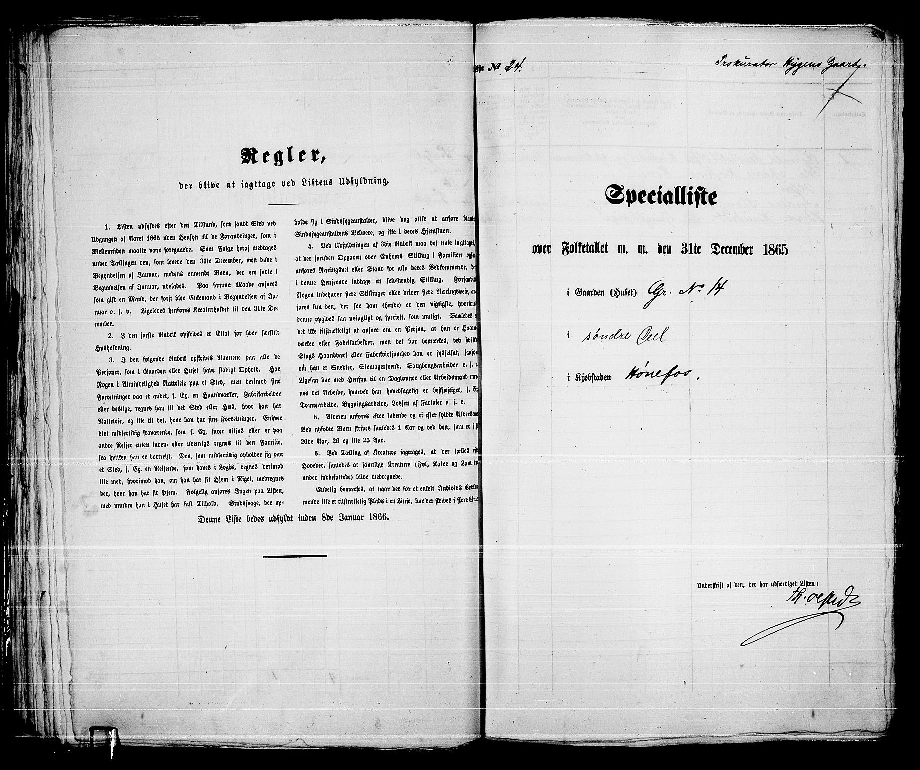 RA, 1865 census for Norderhov/Hønefoss, 1865, p. 50