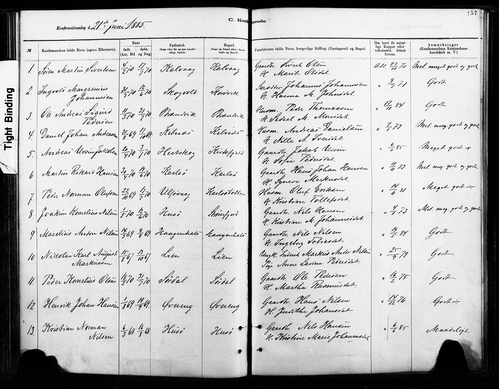 Ministerialprotokoller, klokkerbøker og fødselsregistre - Nordland, AV/SAT-A-1459/859/L0846: Parish register (official) no. 859A06, 1878-1889, p. 157