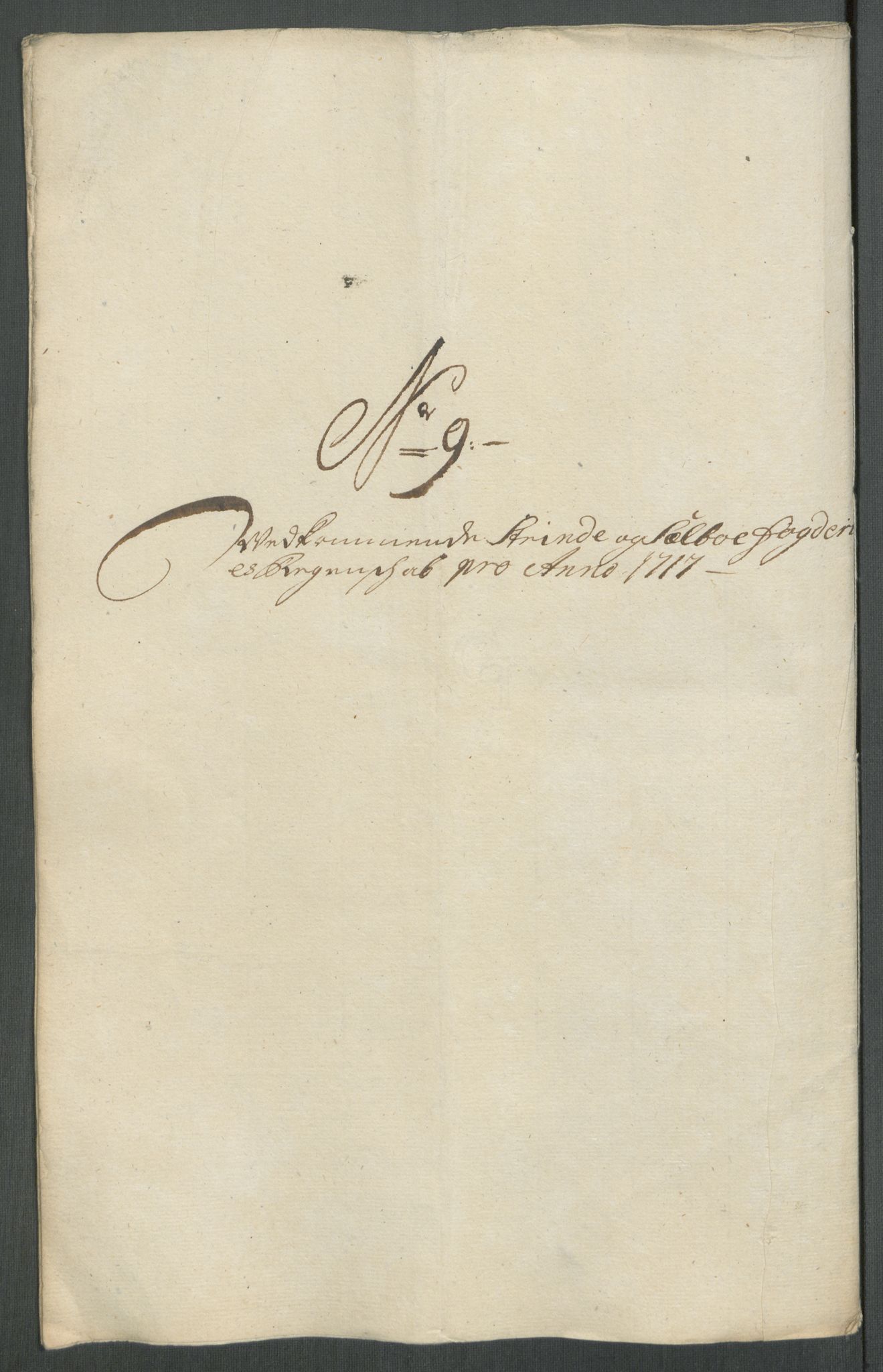 Rentekammeret inntil 1814, Reviderte regnskaper, Fogderegnskap, AV/RA-EA-4092/R61/L4116: Fogderegnskap Strinda og Selbu, 1717-1718, p. 116