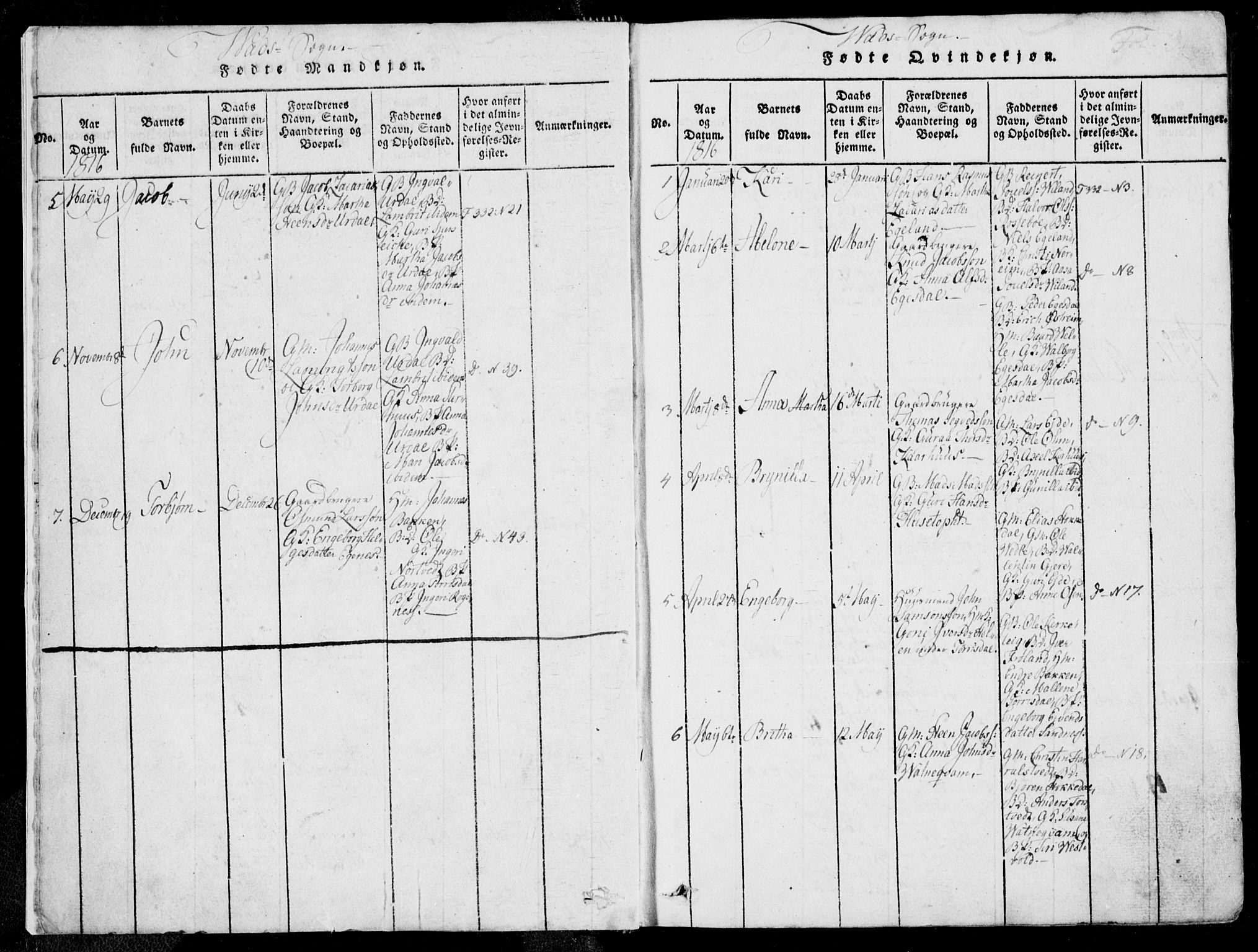Skjold sokneprestkontor, SAST/A-101847/H/Ha/Haa/L0004: Parish register (official) no. A 4 /2, 1815-1830, p. 3