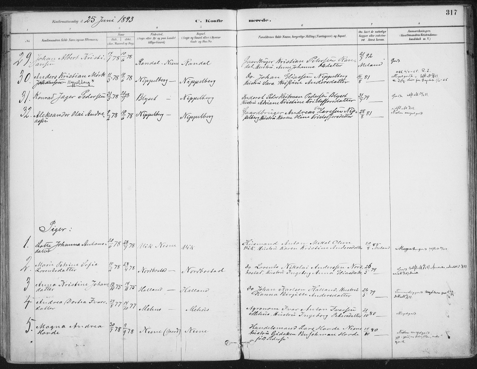 Ministerialprotokoller, klokkerbøker og fødselsregistre - Nordland, AV/SAT-A-1459/838/L0552: Parish register (official) no. 838A10, 1880-1910, p. 317