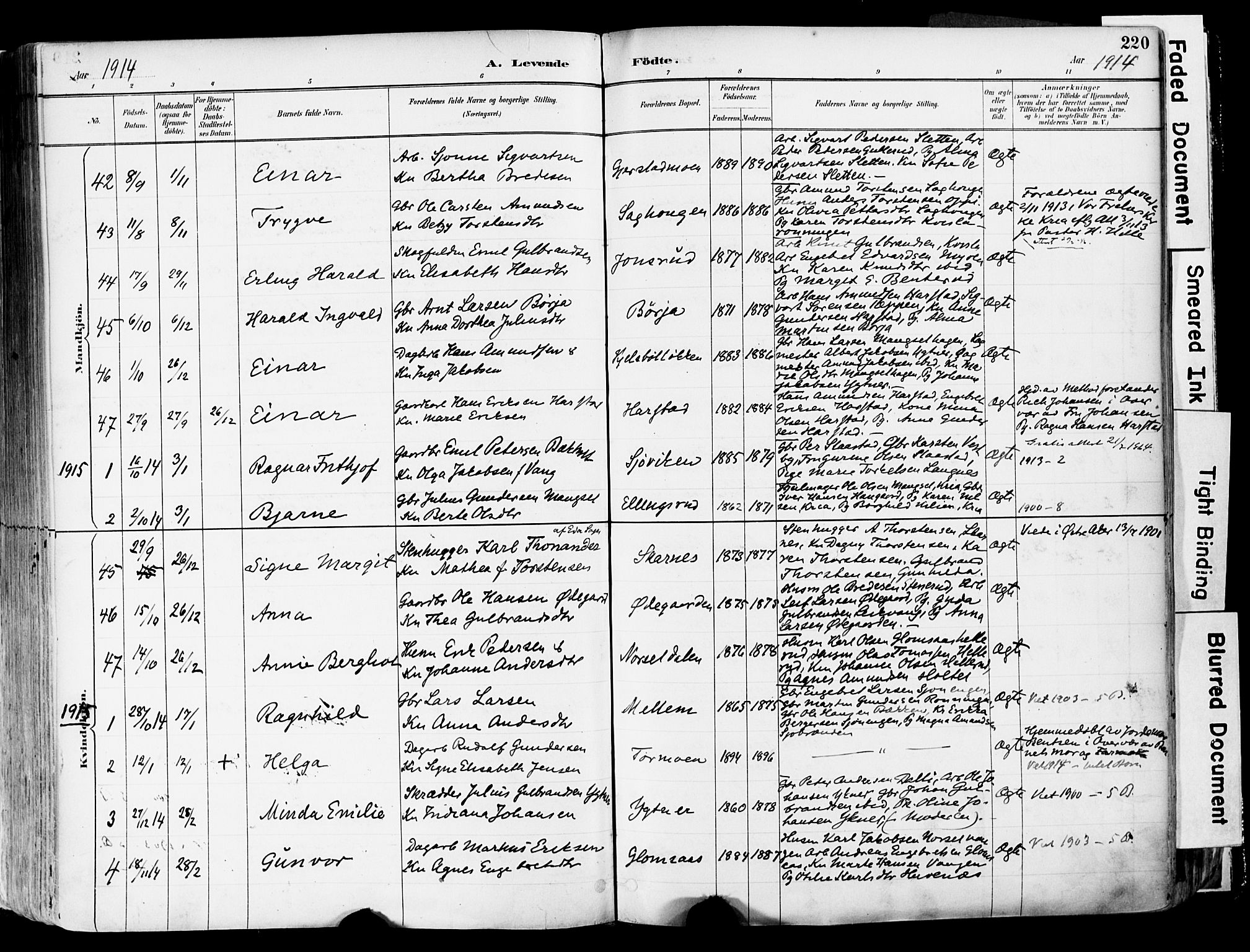 Sør-Odal prestekontor, AV/SAH-PREST-030/H/Ha/Haa/L0006: Parish register (official) no. 6, 1886-1931, p. 220