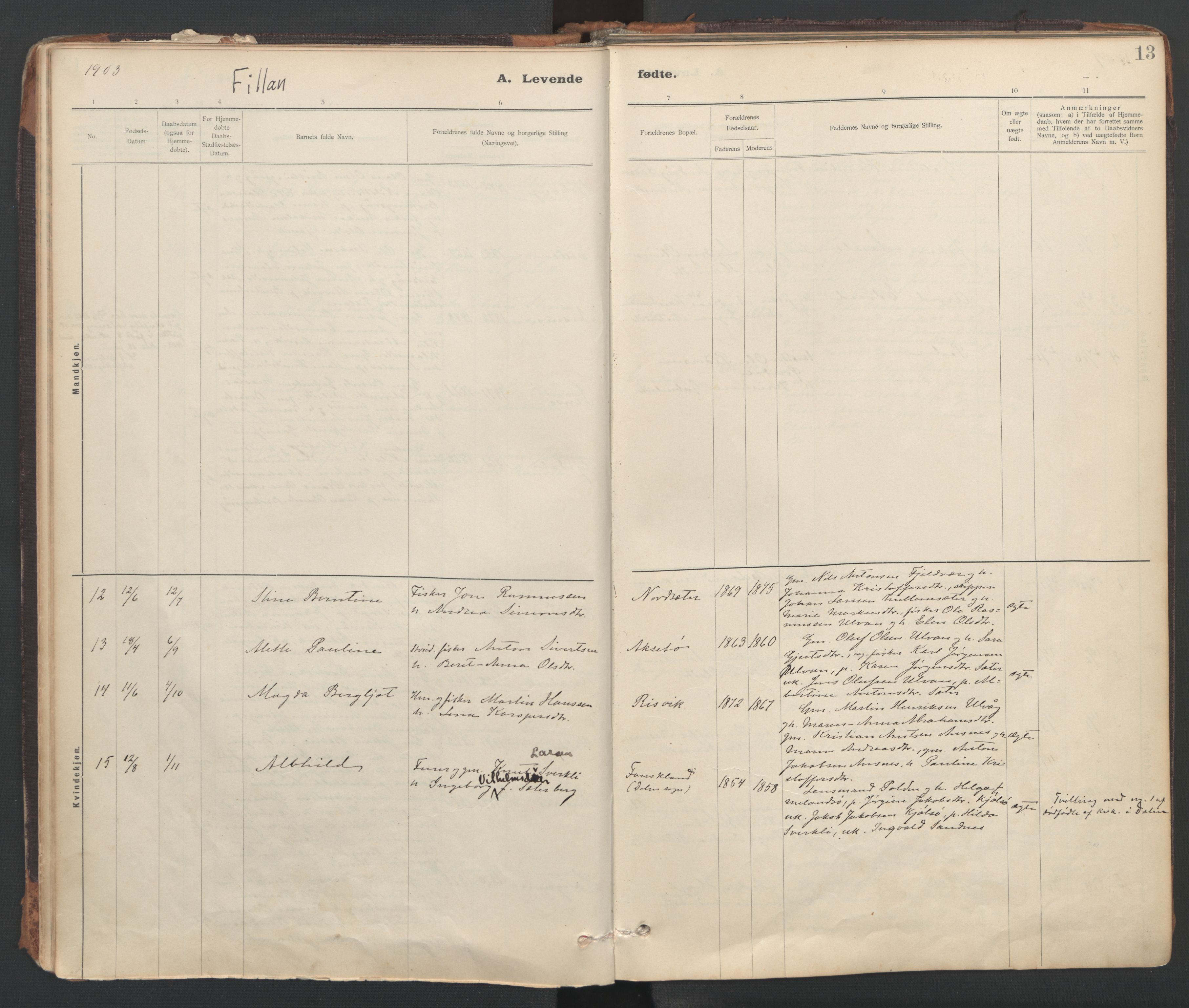 Ministerialprotokoller, klokkerbøker og fødselsregistre - Sør-Trøndelag, SAT/A-1456/637/L0559: Parish register (official) no. 637A02, 1899-1923, p. 13