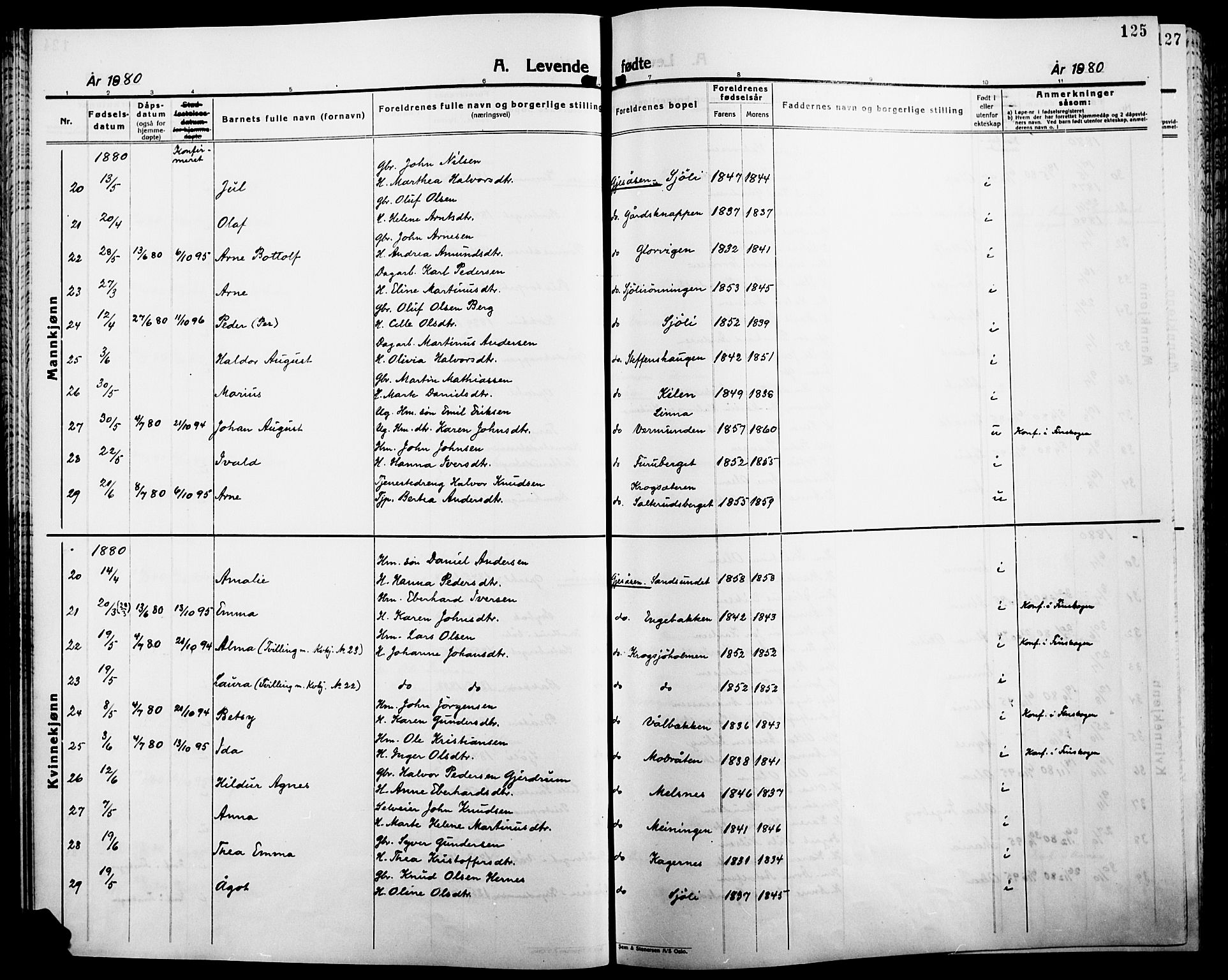 Åsnes prestekontor, AV/SAH-PREST-042/H/Ha/Haa/L0000B: Parish register (official), 1870-1889, p. 125