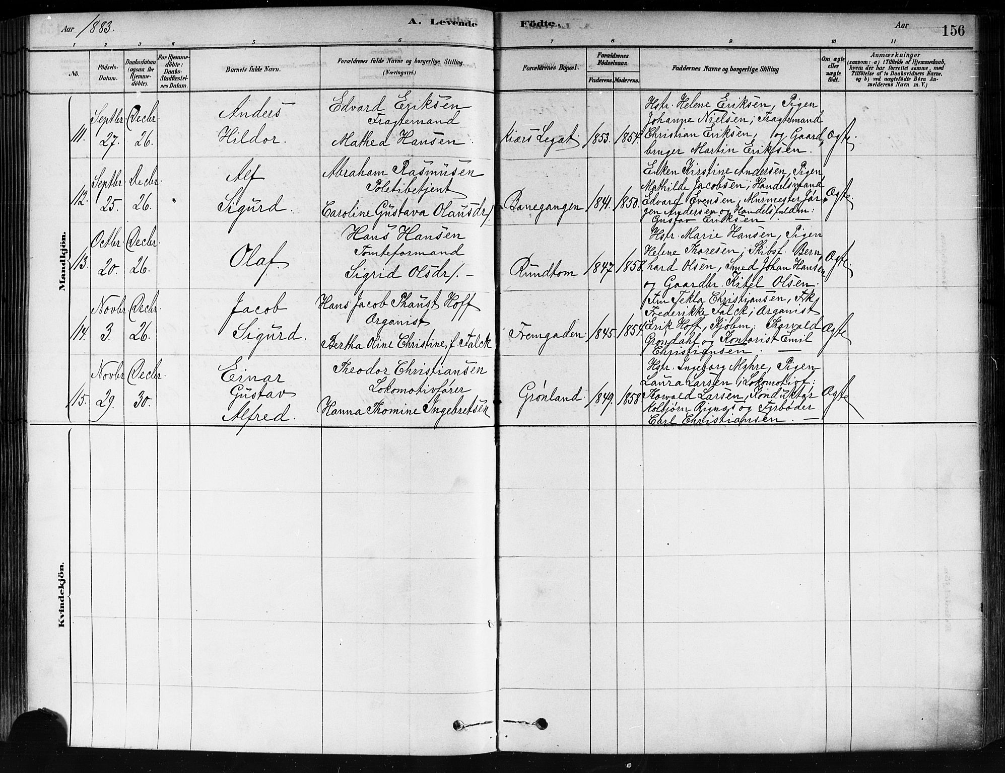 Strømsø kirkebøker, SAKO/A-246/F/Fa/L0021: Parish register (official) no. I 21, 1878-1885, p. 156