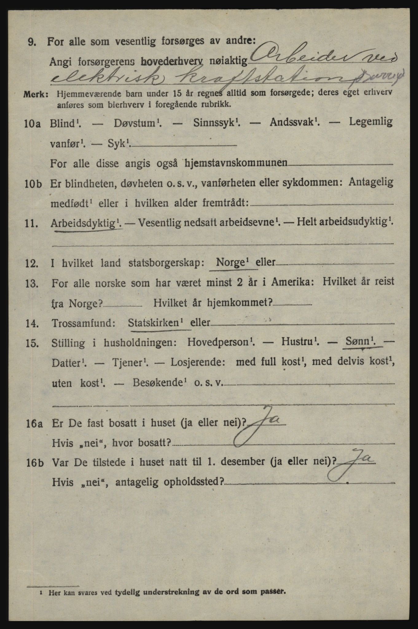 SAO, 1920 census for Skjeberg, 1920, p. 11628