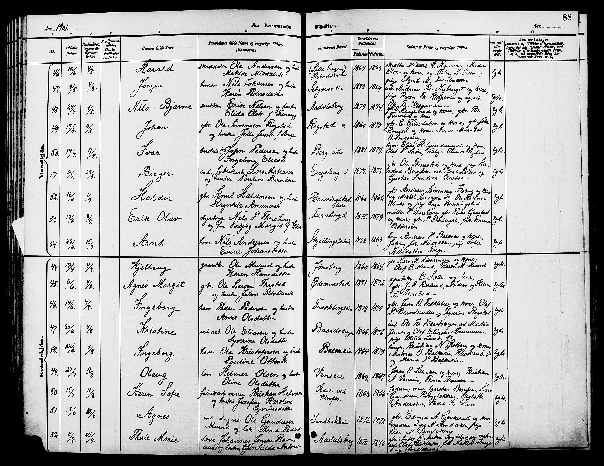 Løten prestekontor, AV/SAH-PREST-022/L/La/L0006: Parish register (copy) no. 6, 1892-1909, p. 88