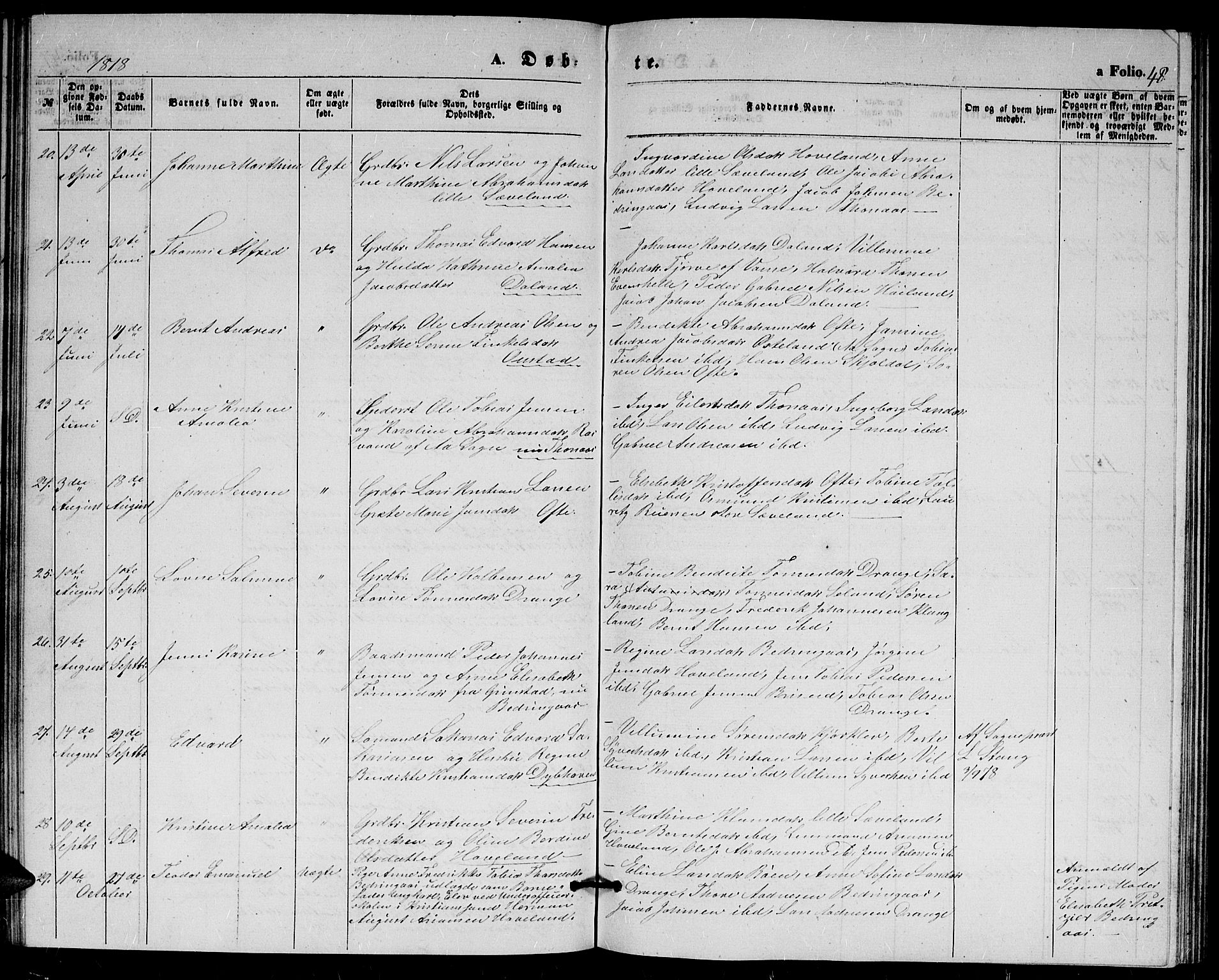 Herad sokneprestkontor, AV/SAK-1111-0018/F/Fb/Fba/L0003: Parish register (copy) no. B 3, 1863-1883, p. 48