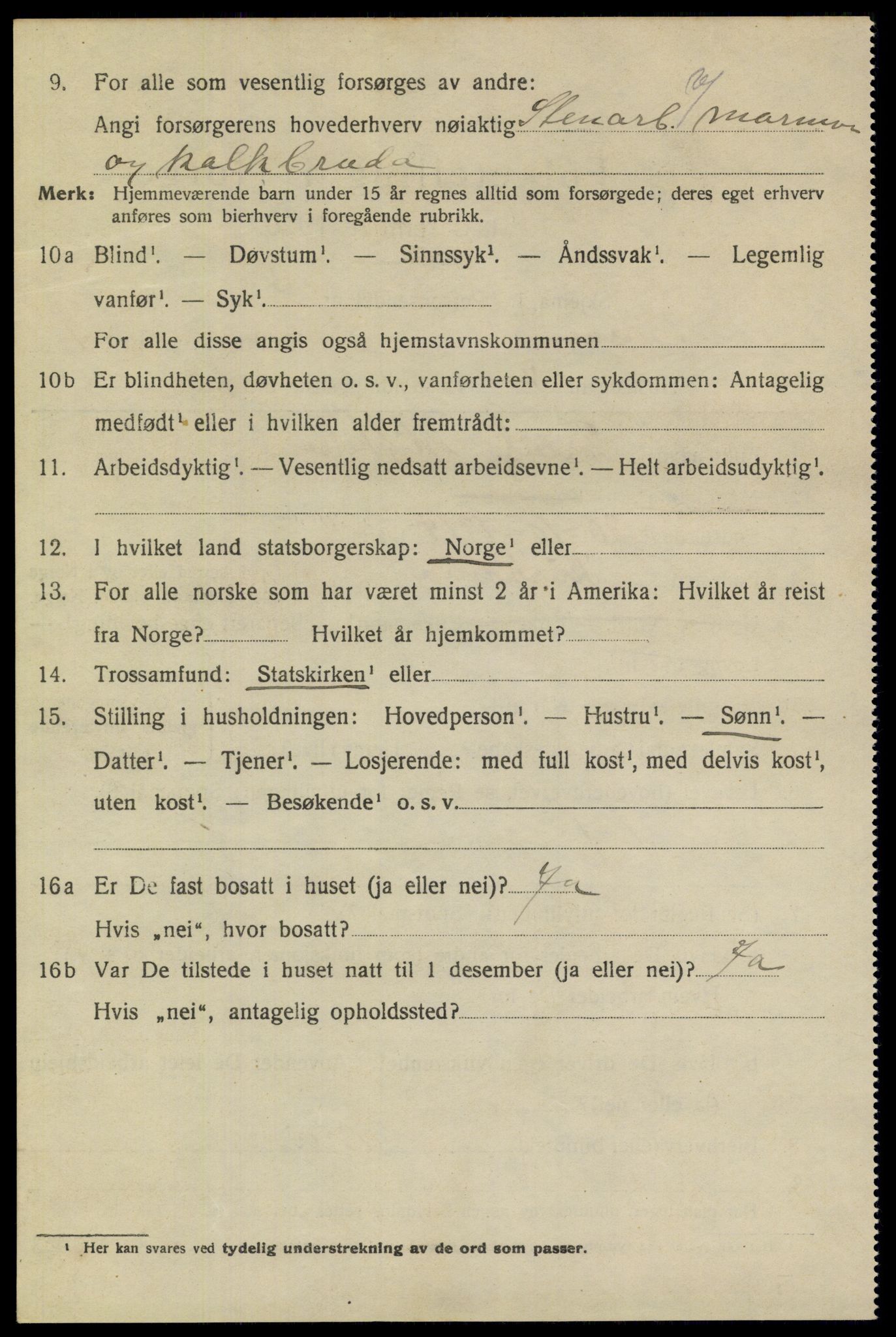 SAKO, 1920 census for Brevik, 1920, p. 2193