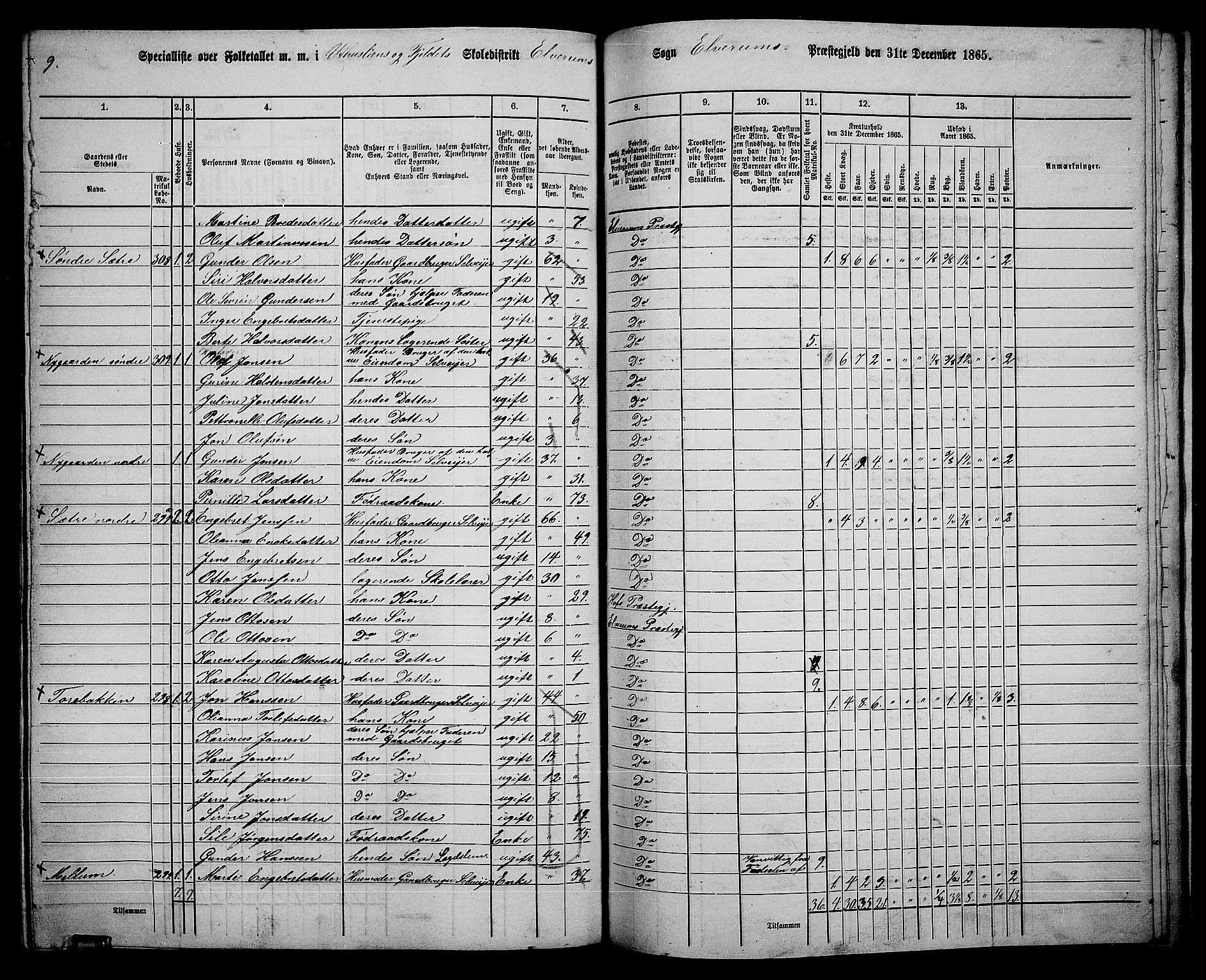 RA, 1865 census for Elverum, 1865, p. 244