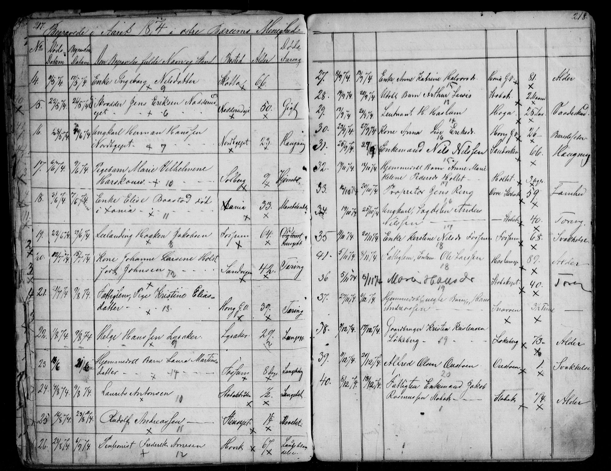Asker prestekontor Kirkebøker, AV/SAO-A-10256a/G/Gc/L0002: Parish register (copy) no. III 2, 1874-1883, p. 217-218