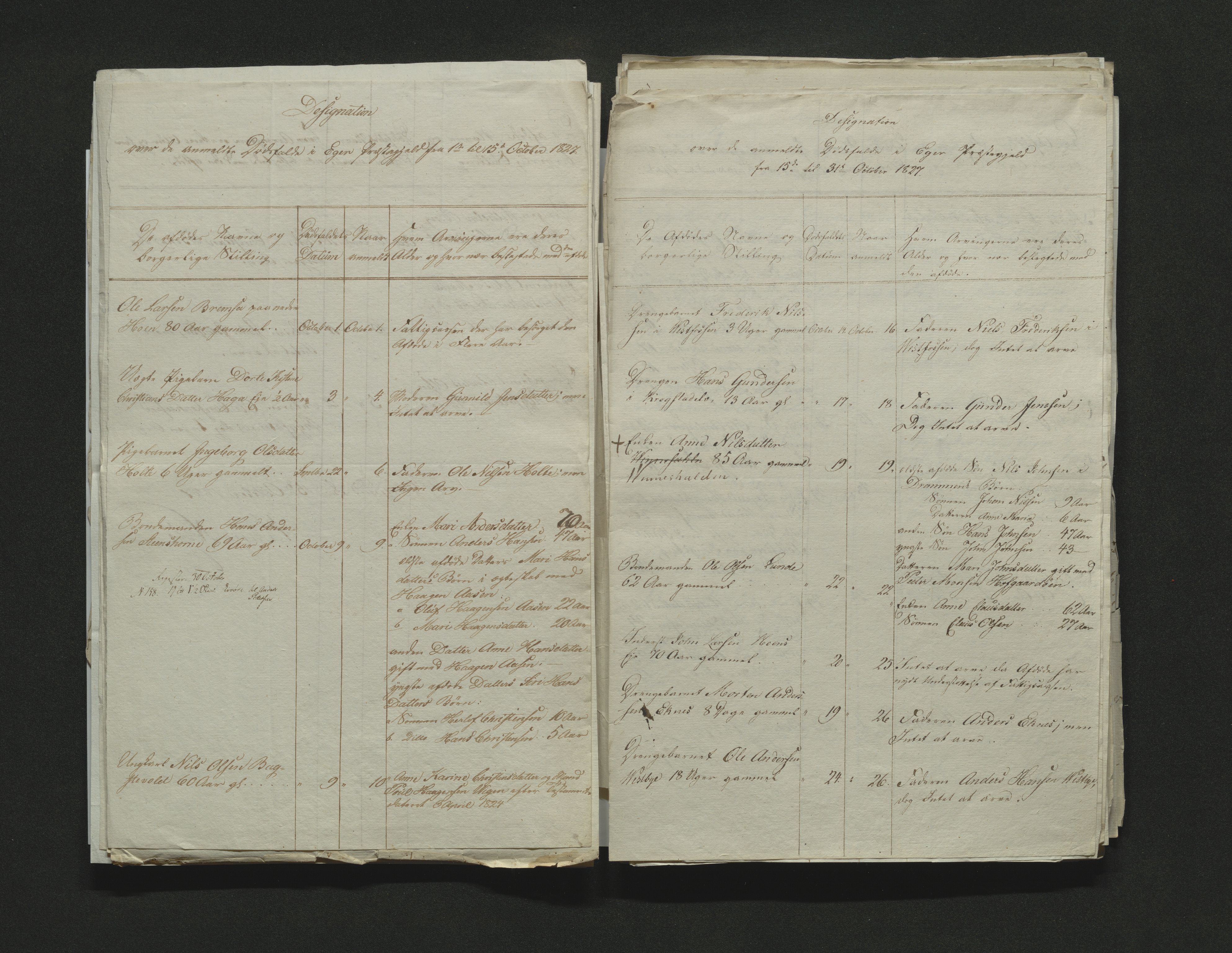 Eiker, Modum og Sigdal sorenskriveri, AV/SAKO-A-123/H/Ha/Hab/L0002: Dødsfallsmeldinger, 1823-1829, p. 173