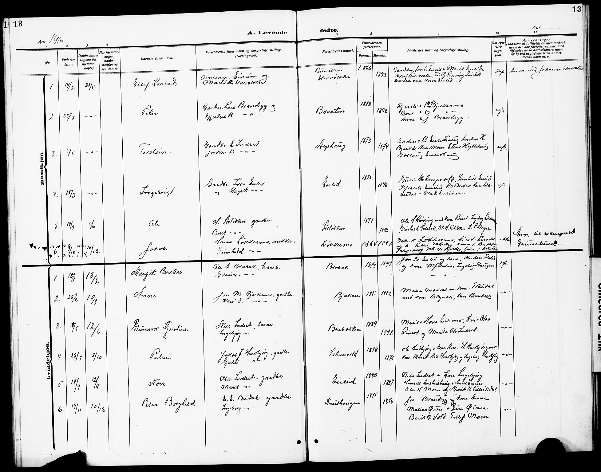 Ministerialprotokoller, klokkerbøker og fødselsregistre - Sør-Trøndelag, AV/SAT-A-1456/690/L1052: Parish register (copy) no. 690C02, 1907-1929, p. 13