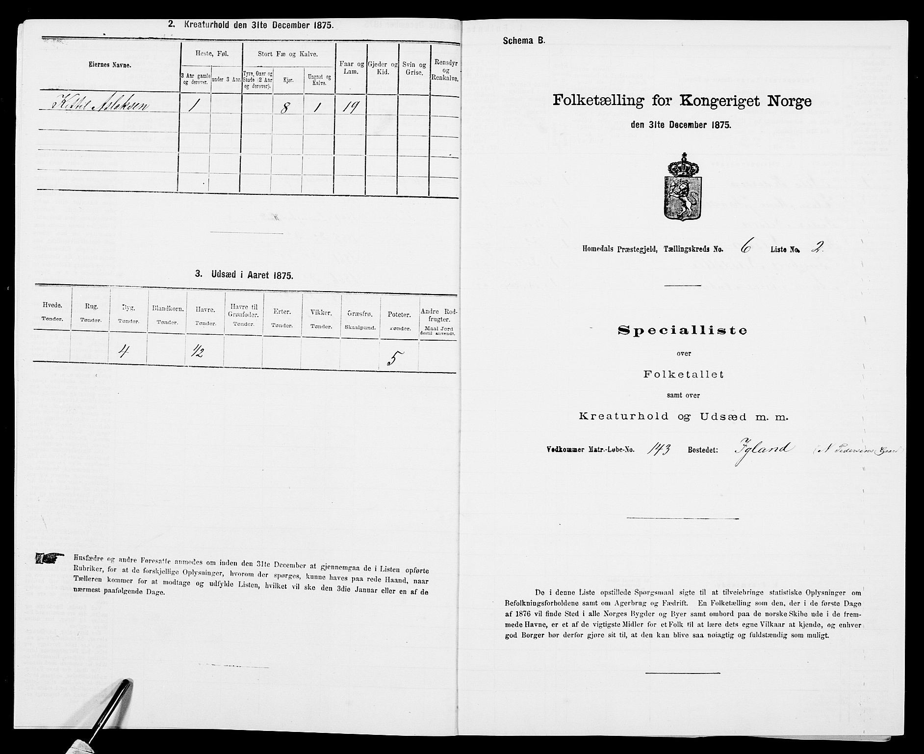 SAK, 1875 census for 0924P Homedal, 1875, p. 1040