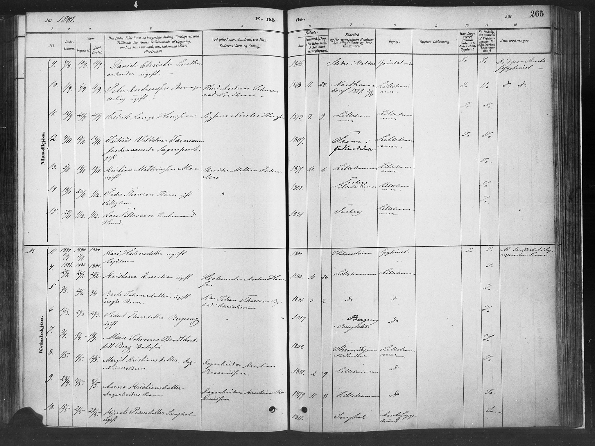 Fåberg prestekontor, SAH/PREST-086/H/Ha/Haa/L0010: Parish register (official) no. 10, 1879-1900, p. 265