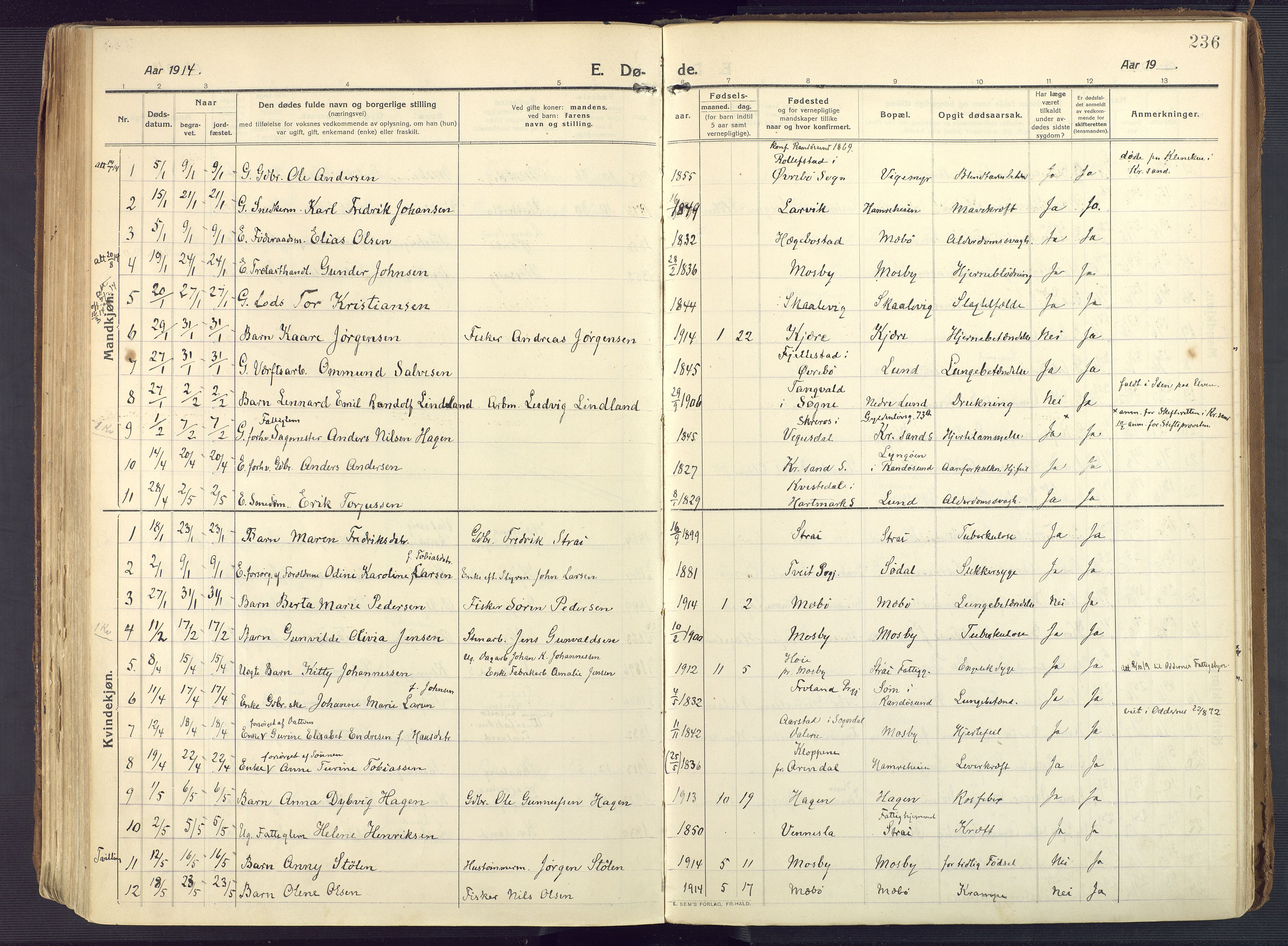 Oddernes sokneprestkontor, AV/SAK-1111-0033/F/Fa/Faa/L0012: Parish register (official) no. A 12, 1912-1925, p. 236