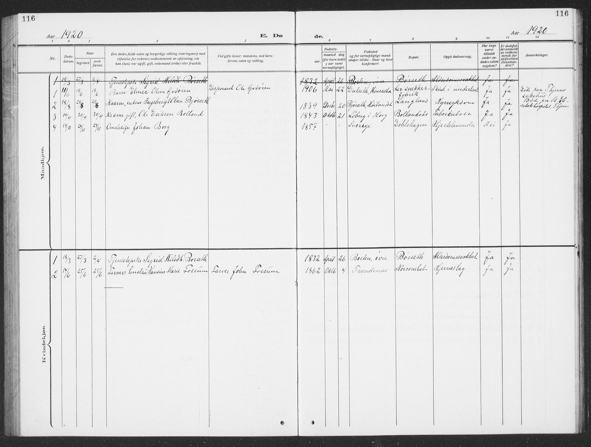 Ministerialprotokoller, klokkerbøker og fødselsregistre - Sør-Trøndelag, AV/SAT-A-1456/693/L1124: Parish register (copy) no. 693C05, 1911-1941, p. 116