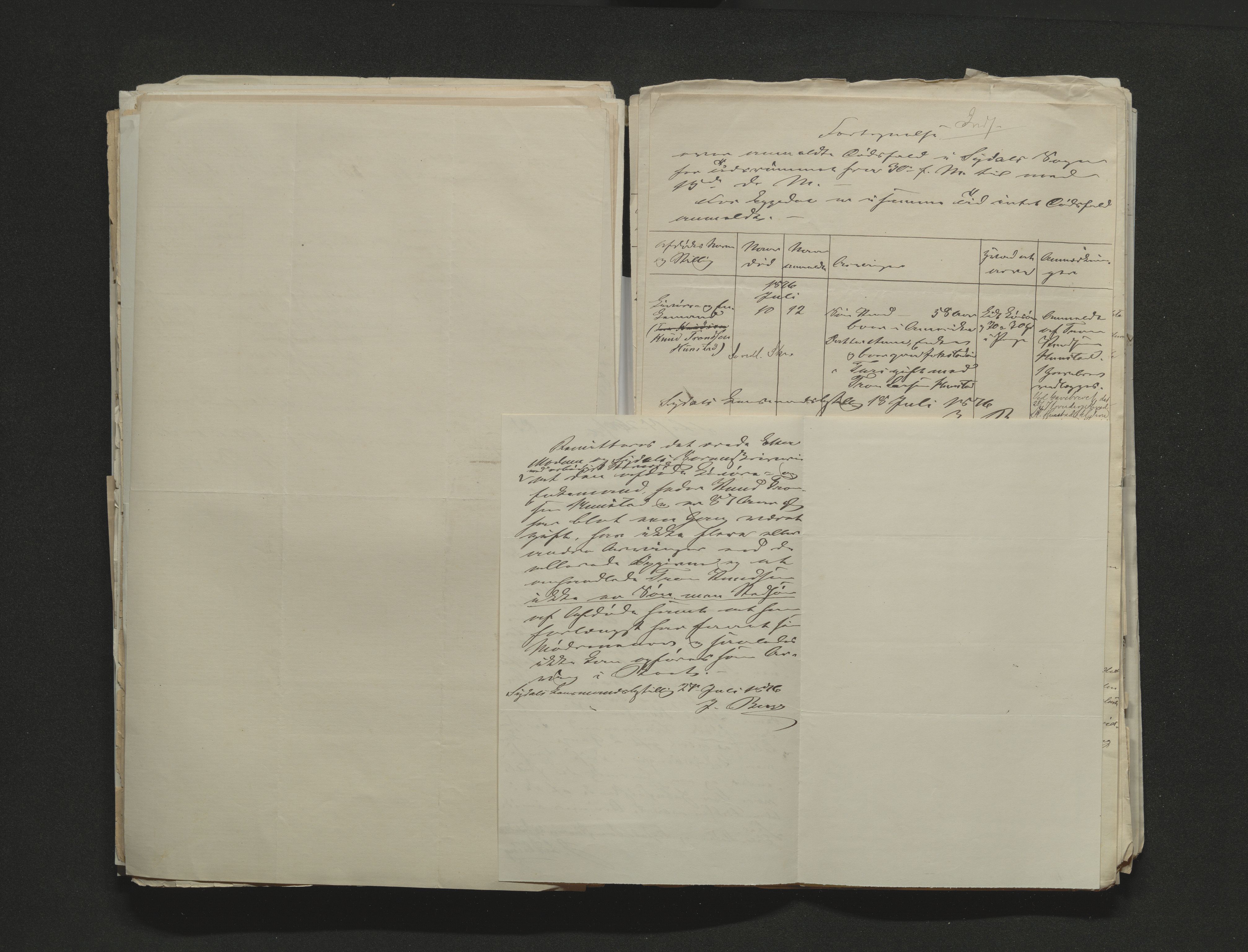Eiker, Modum og Sigdal sorenskriveri, AV/SAKO-A-123/H/Ha/Hab/L0014: Dødsfallsmeldinger, 1874-1877, p. 481