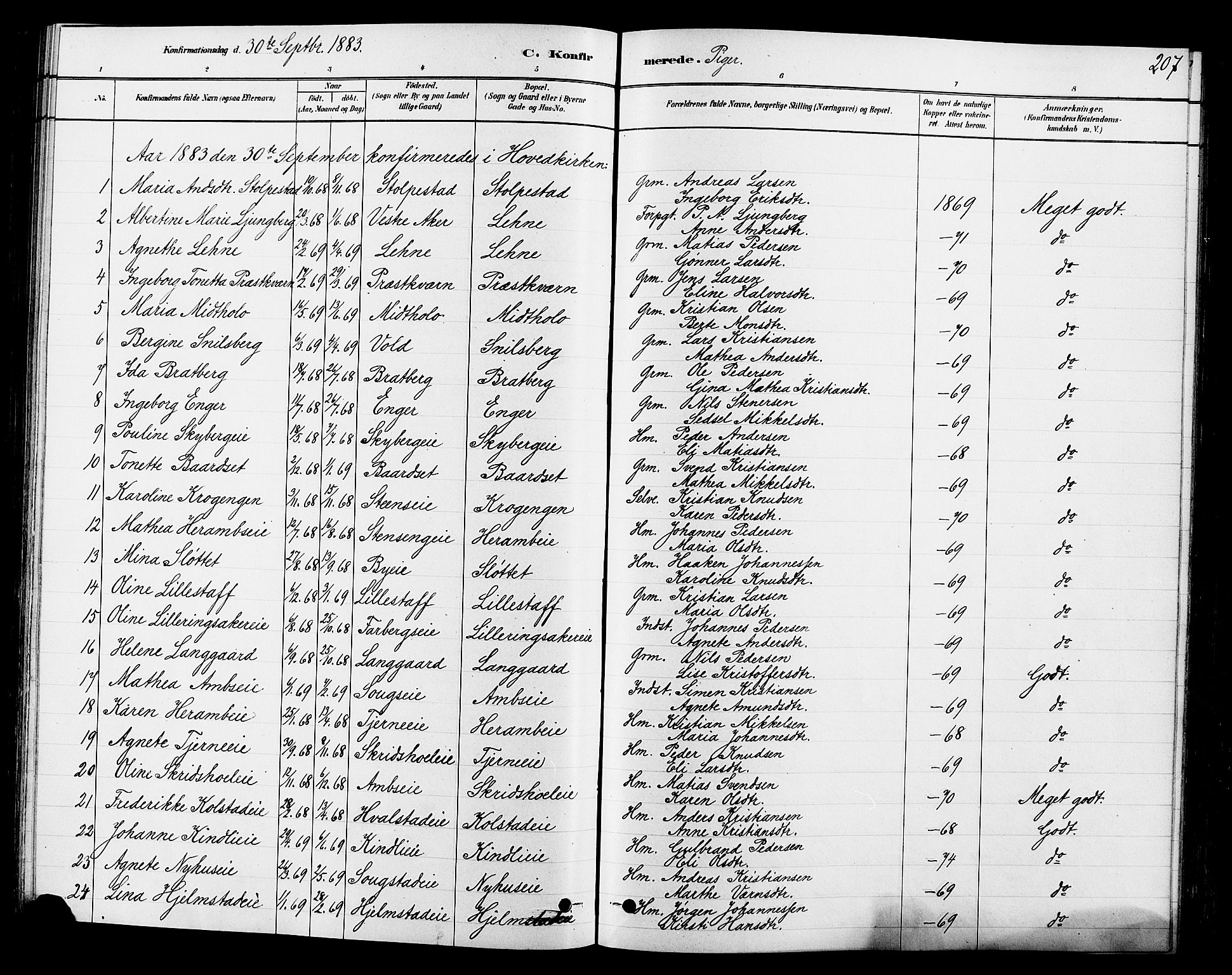 Ringsaker prestekontor, SAH/PREST-014/L/La/L0009: Parish register (copy) no. 9, 1879-1890, p. 207