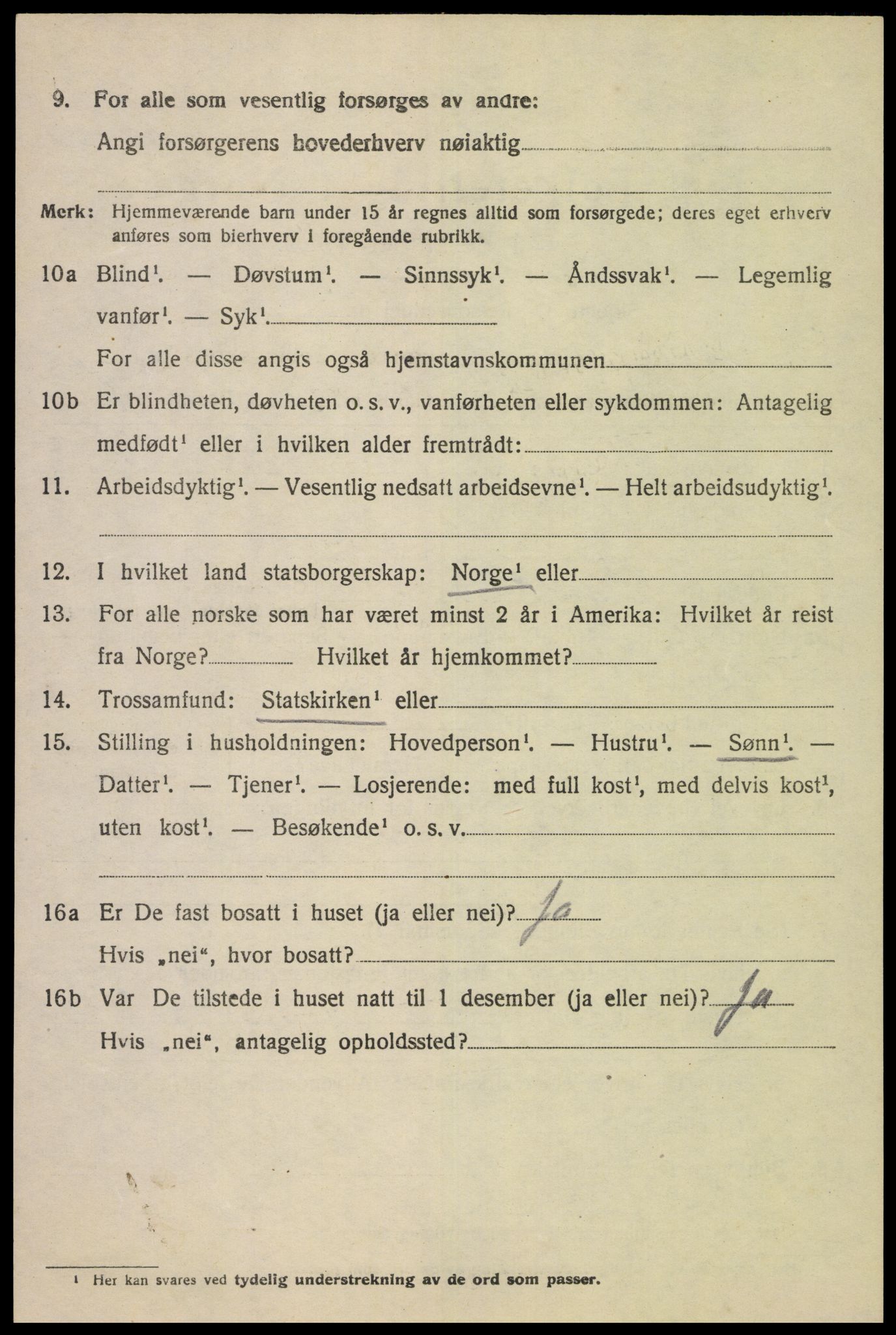 SAK, 1920 census for Nes (V-A), 1920, p. 3767