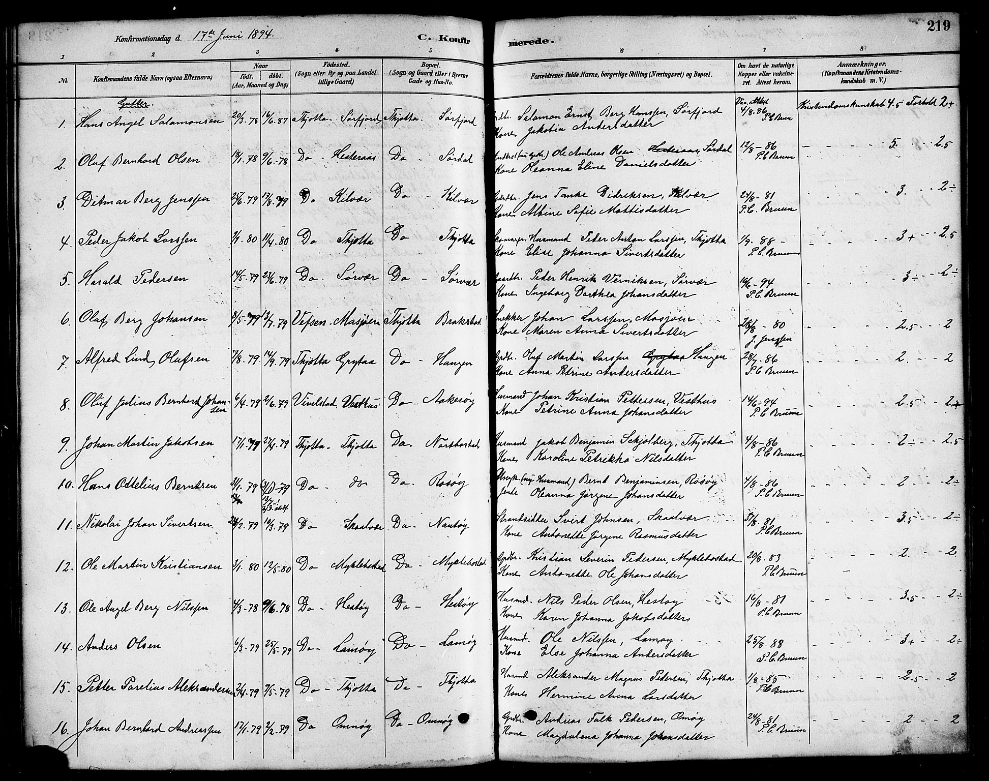 Ministerialprotokoller, klokkerbøker og fødselsregistre - Nordland, AV/SAT-A-1459/817/L0268: Parish register (copy) no. 817C03, 1884-1920, p. 219