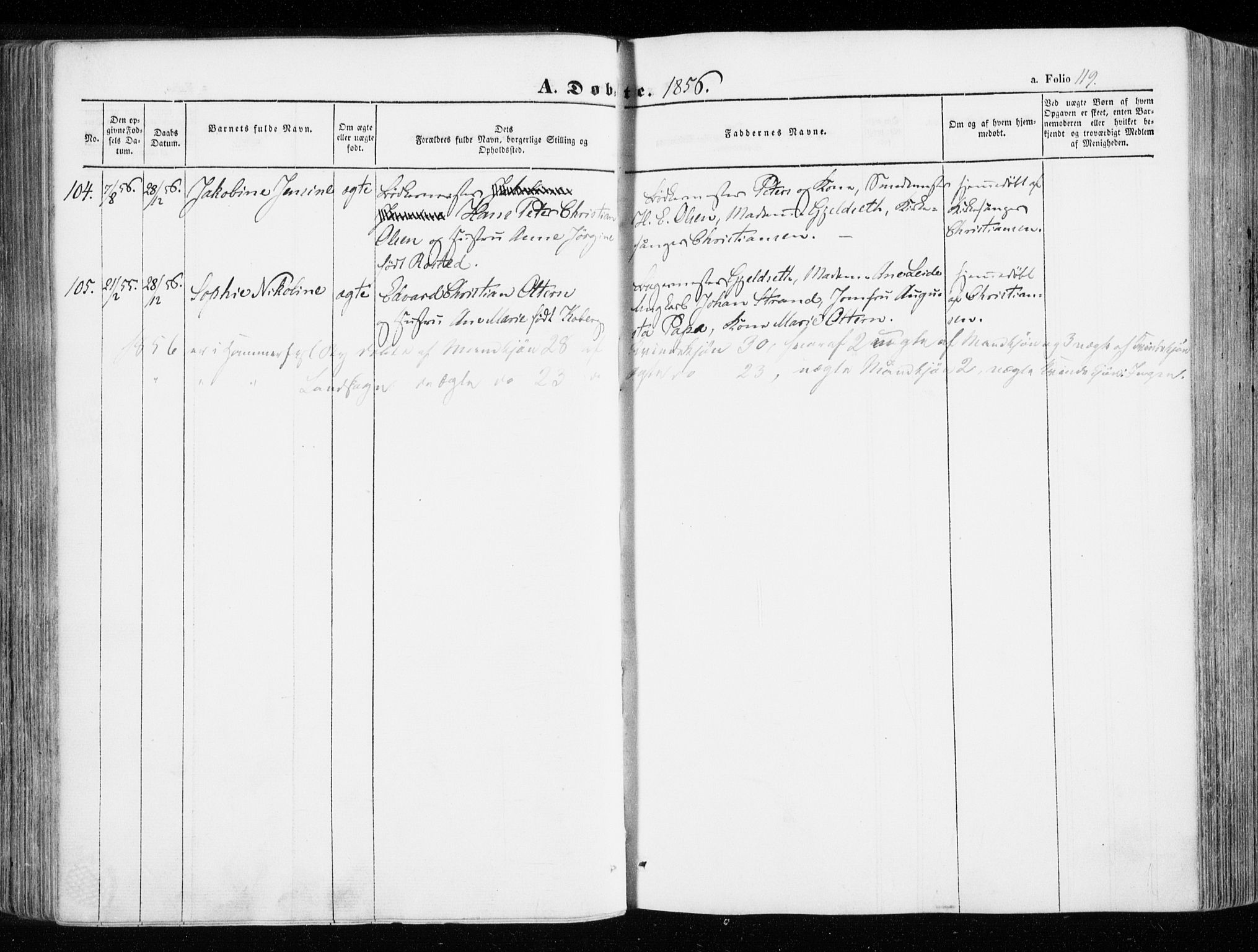 Hammerfest sokneprestkontor, SATØ/S-1347/H/Ha/L0004.kirke: Parish register (official) no. 4, 1843-1856, p. 119