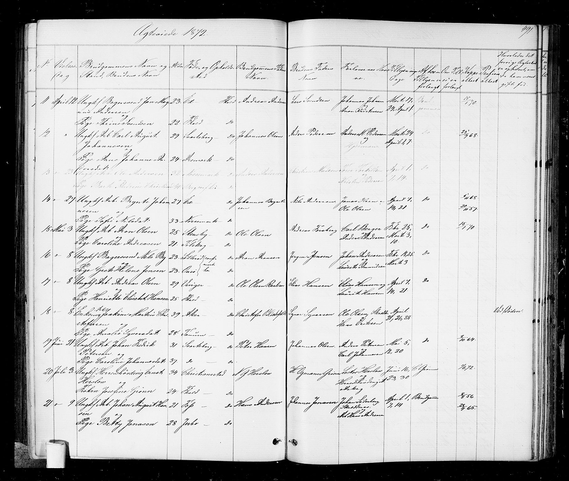 Halden prestekontor Kirkebøker, AV/SAO-A-10909/G/Ga/L0006: Parish register (copy) no. 6, 1869-1884, p. 491