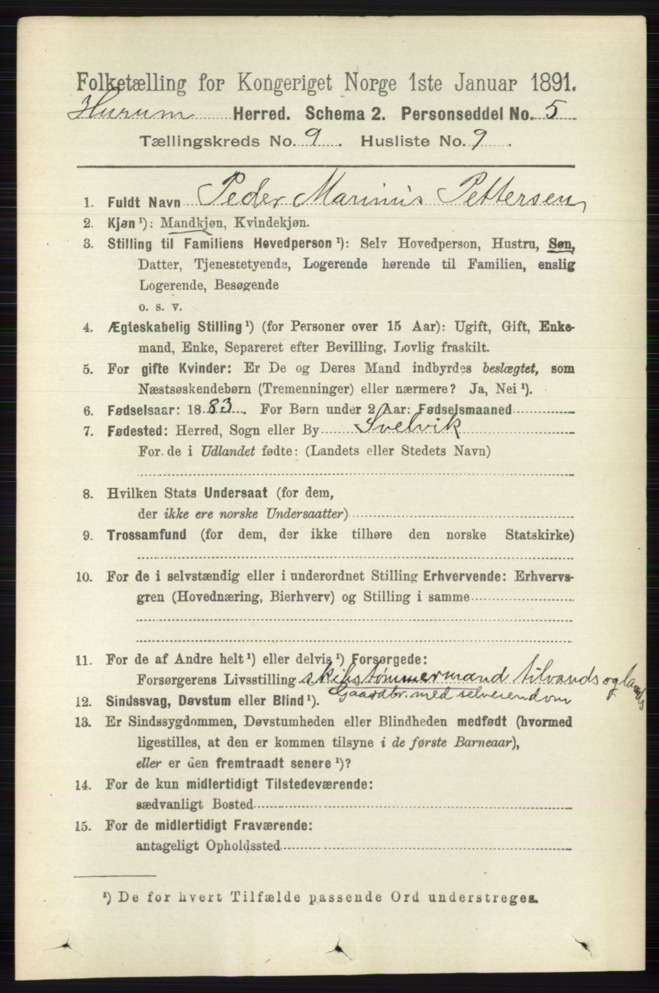 RA, 1891 census for 0628 Hurum, 1891, p. 2868